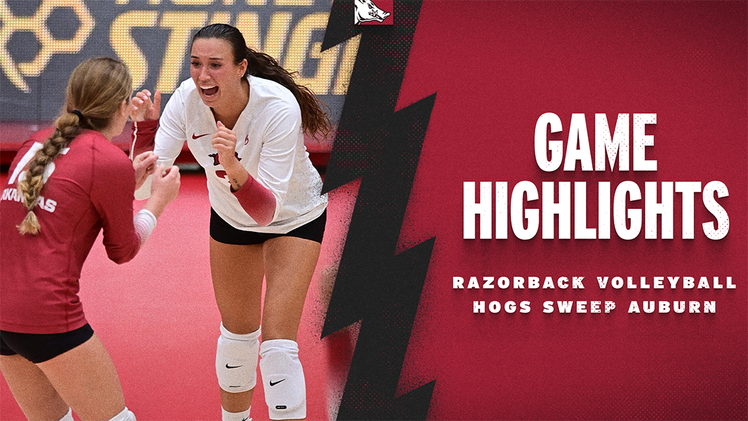 Volley Hogs Season Tickets Now Available for 2022