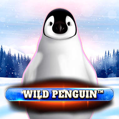Wild Penguin