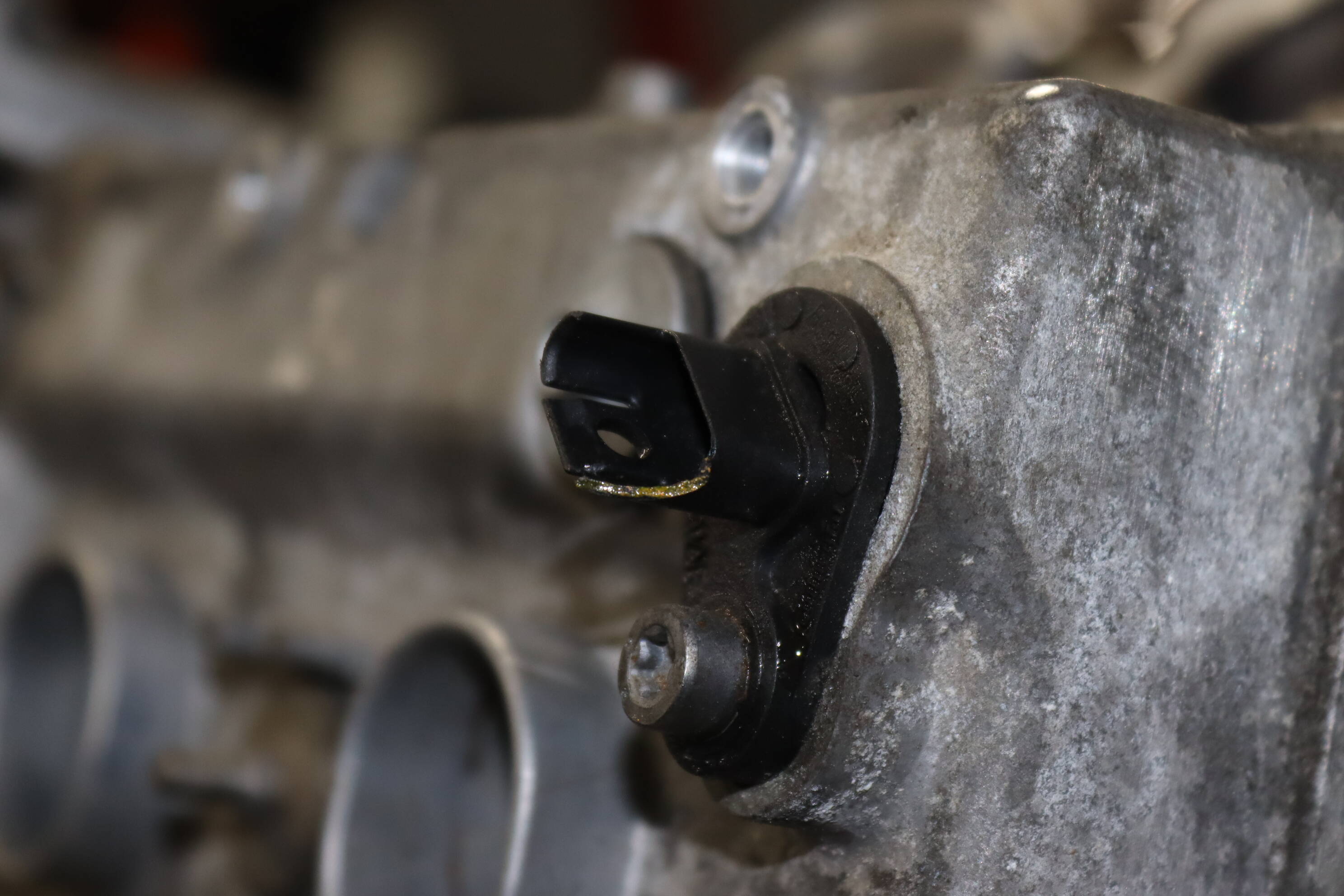 GASOLINE / GAS REX ENGINE