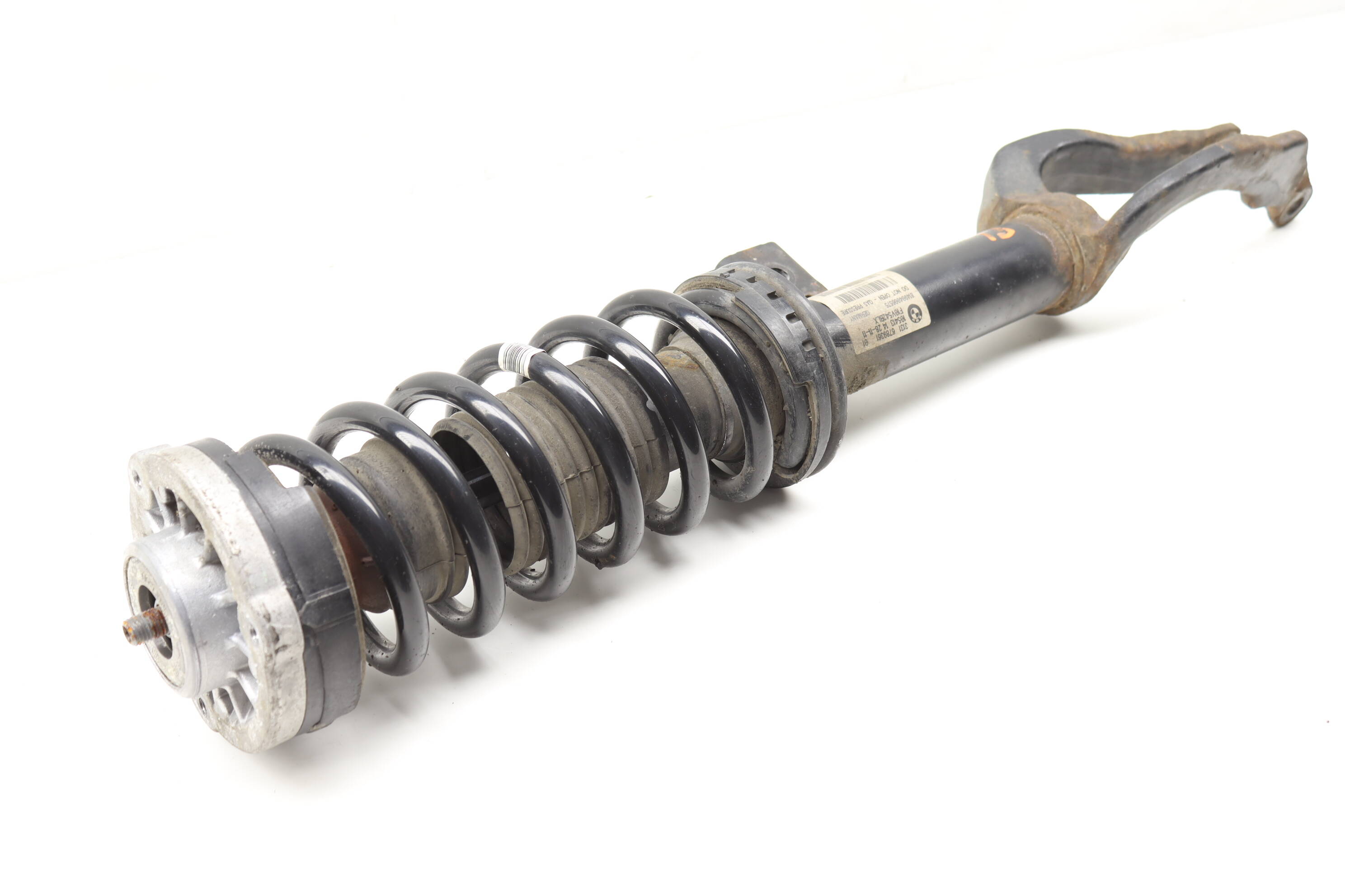 STRUT SHOCK / SPRING ASSEMBLY
