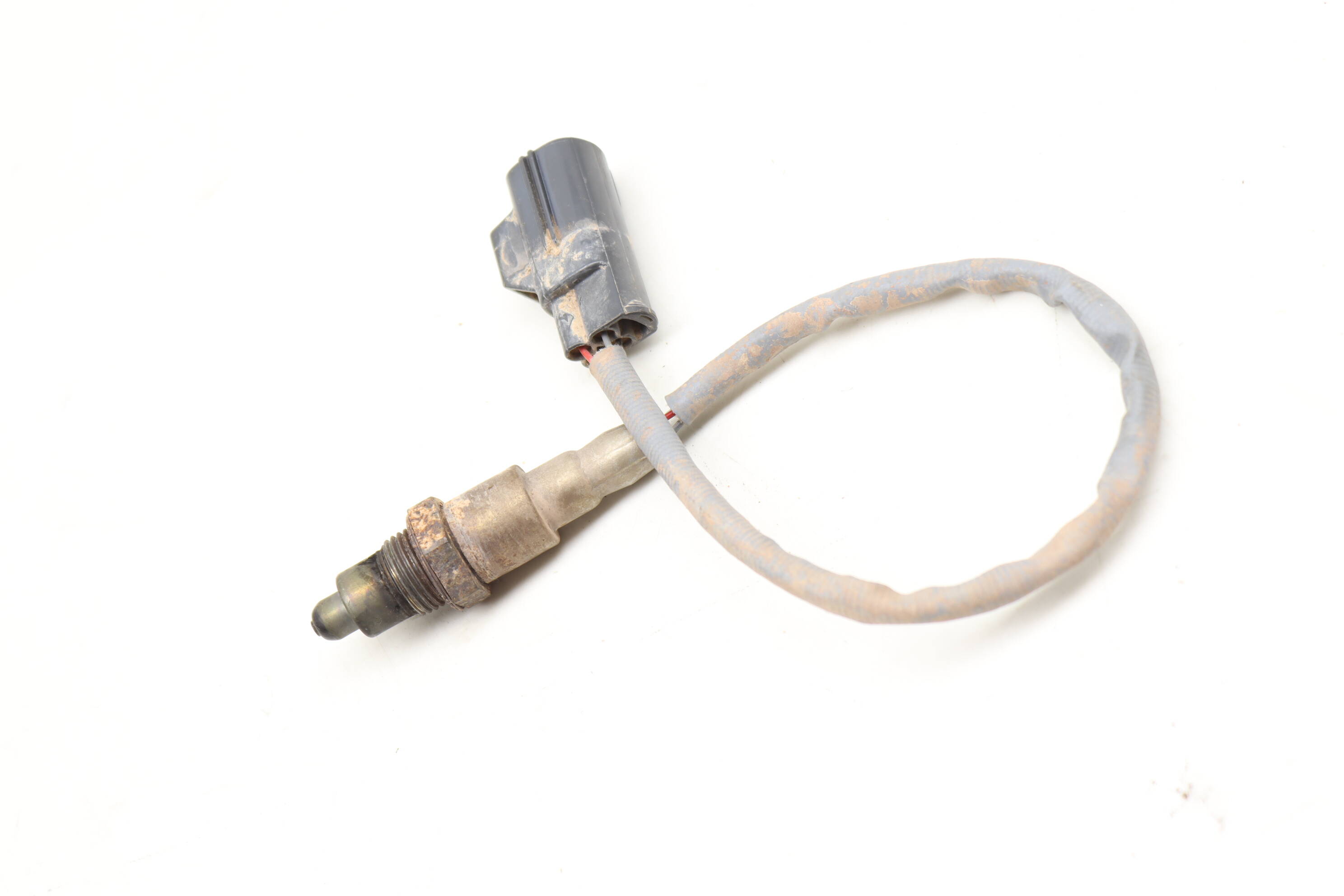 O2 / OXYGEN SENSOR