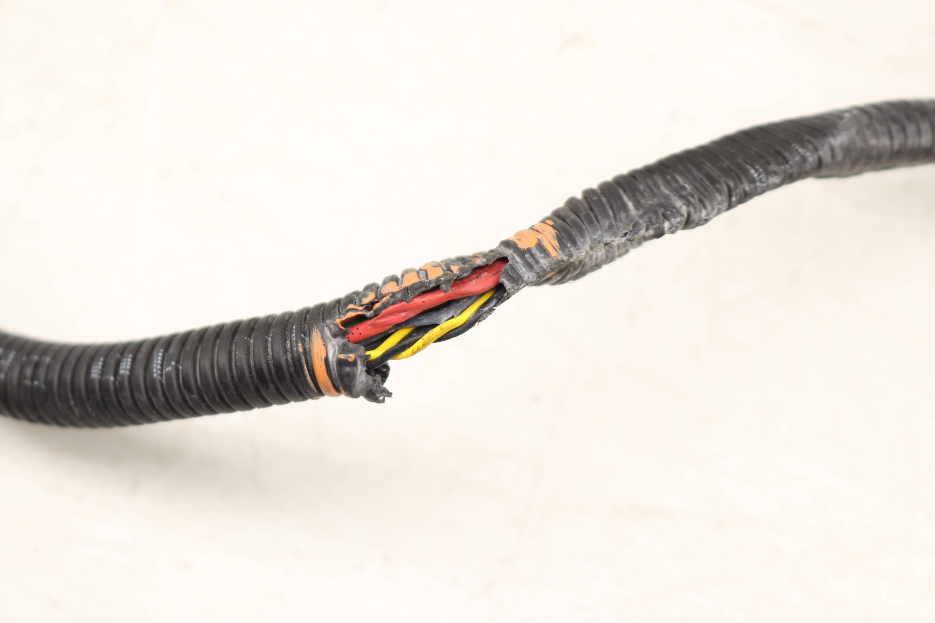 ENGINE / TRANSMISSION MODULE WIRING HARNESS