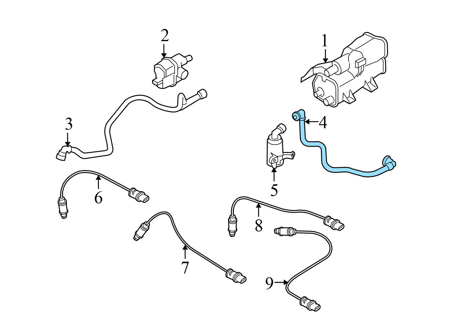 FUEL TANK VENT HOSE / LINE / TUBE