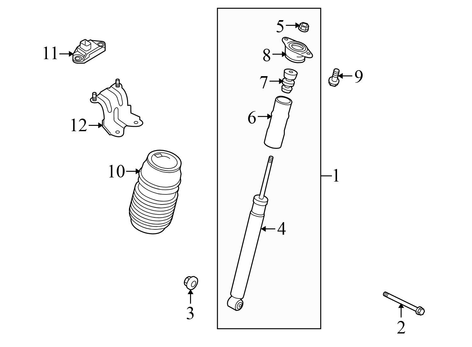 STRUT / SHOCK ABSORBER SET