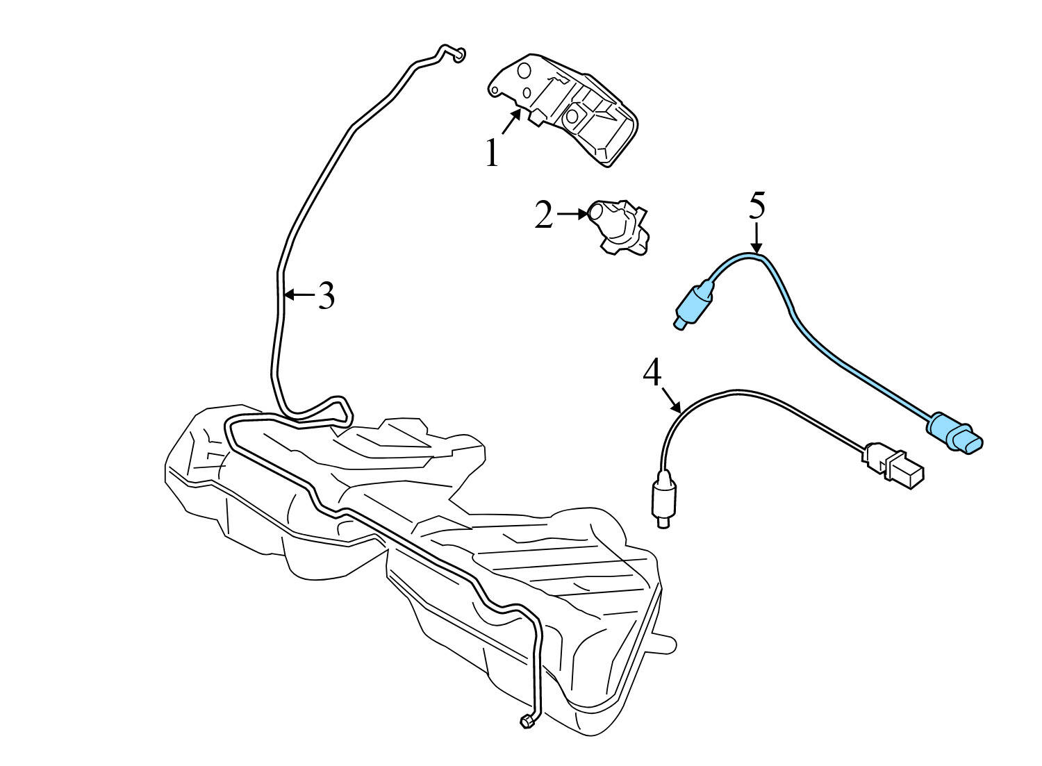 O2 / OXYGEN SENSOR
