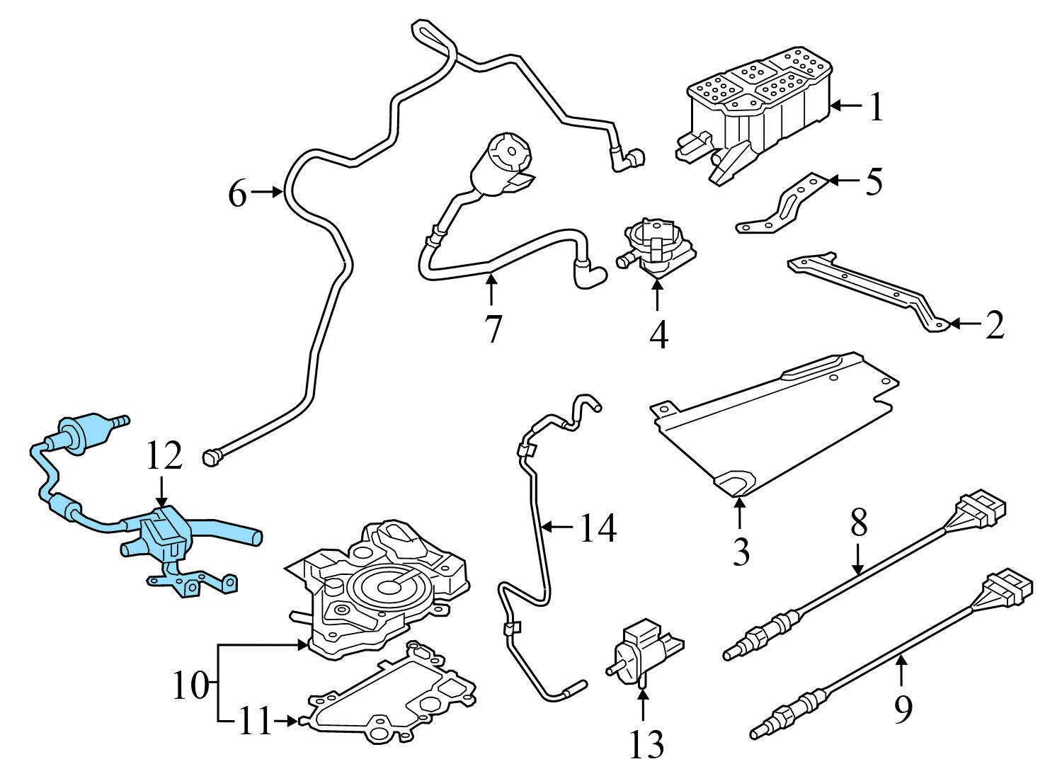 VACUUM LINE / HOSE w/ PURGE VALVE