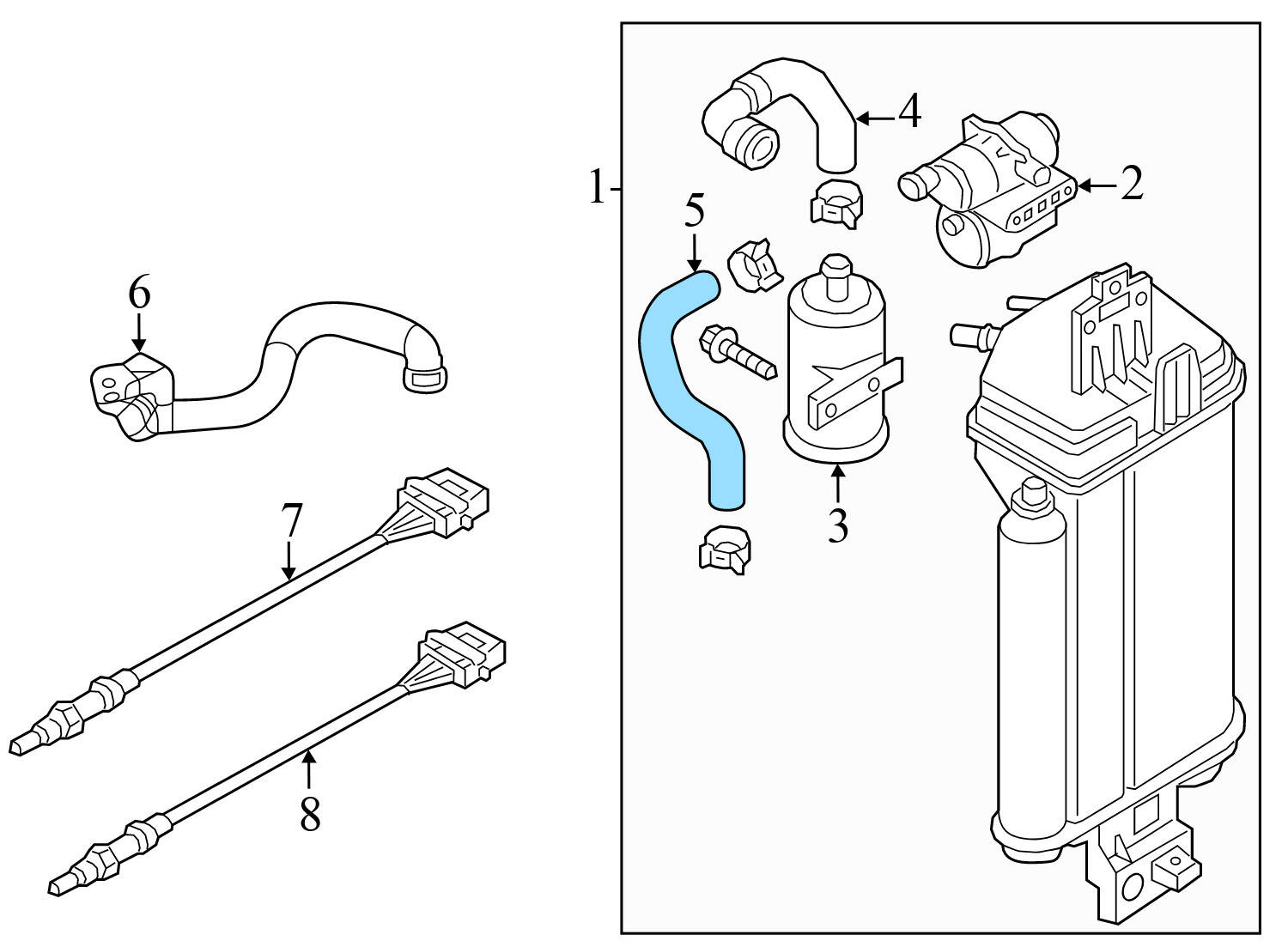 LEAK DETENTION PUMP / EVAP HOSE