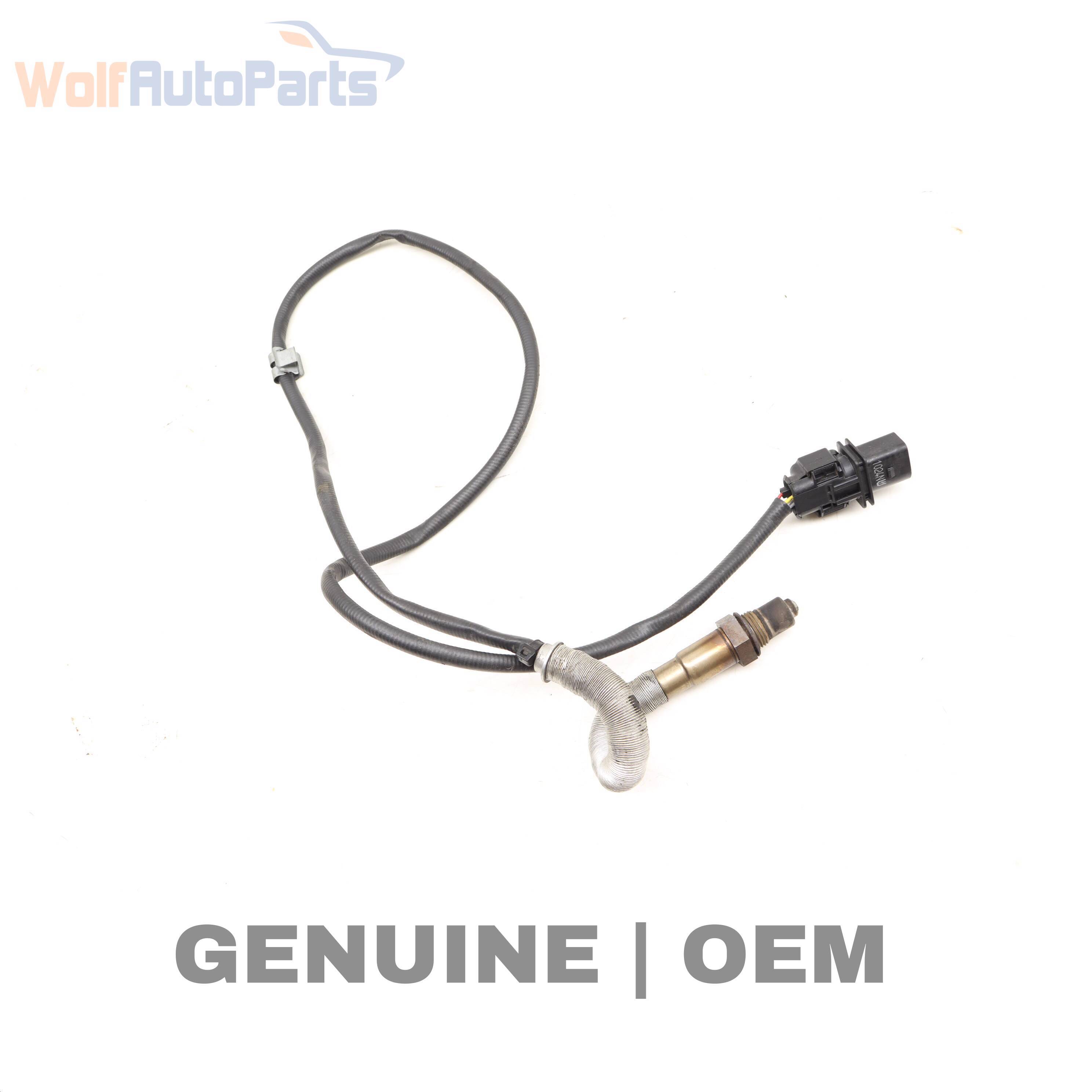 O2 / OXYGEN SENSOR