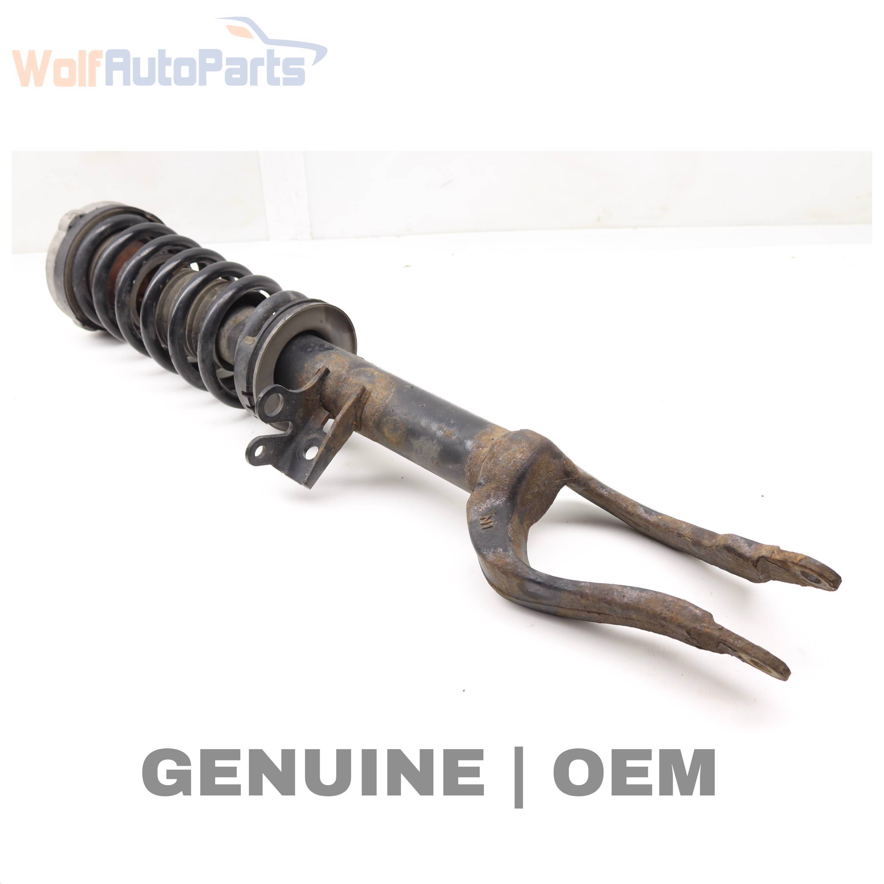 STRUT SHOCK / SPRING ASSEMBLY
