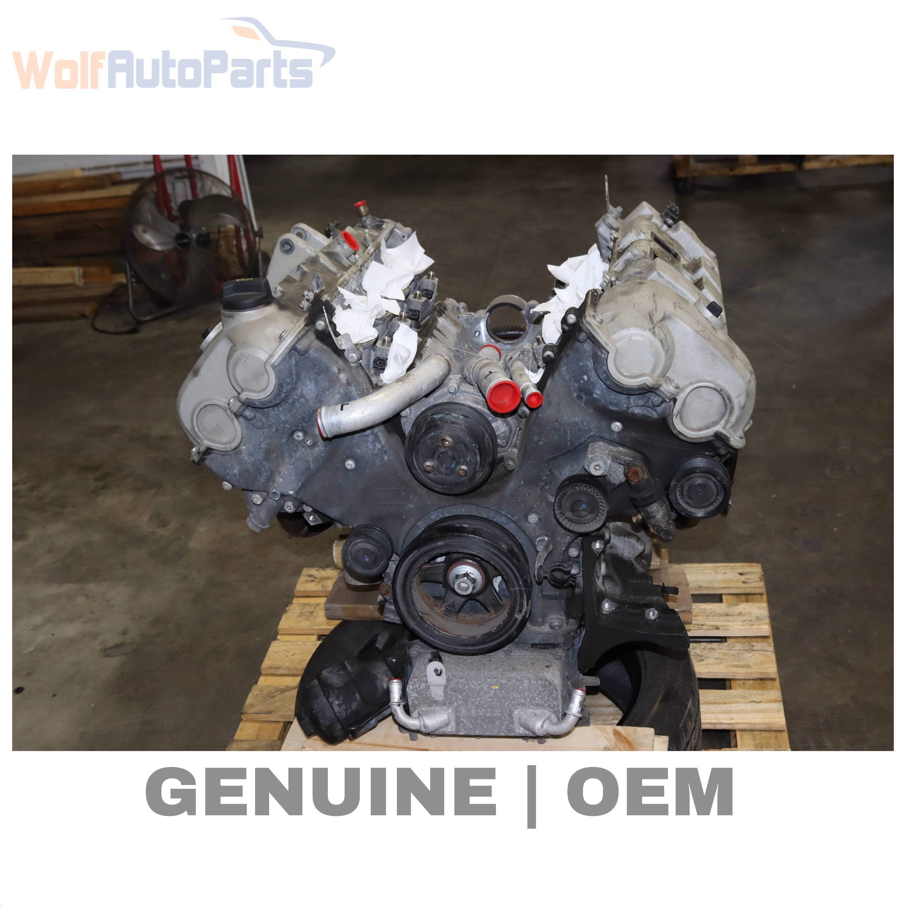 Wolf LONG BLOCK ASSEMBLY