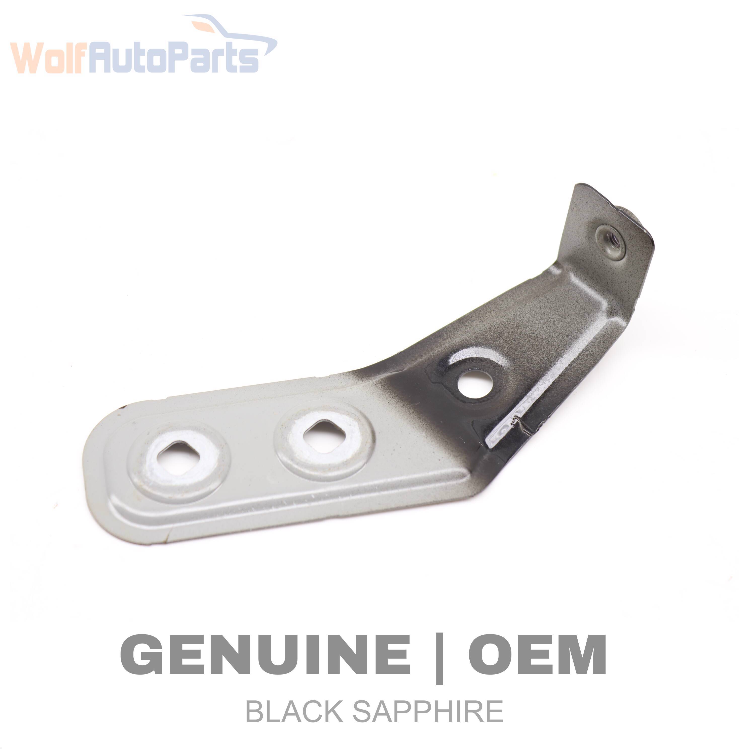 Wolf MOUNT / BRACKET