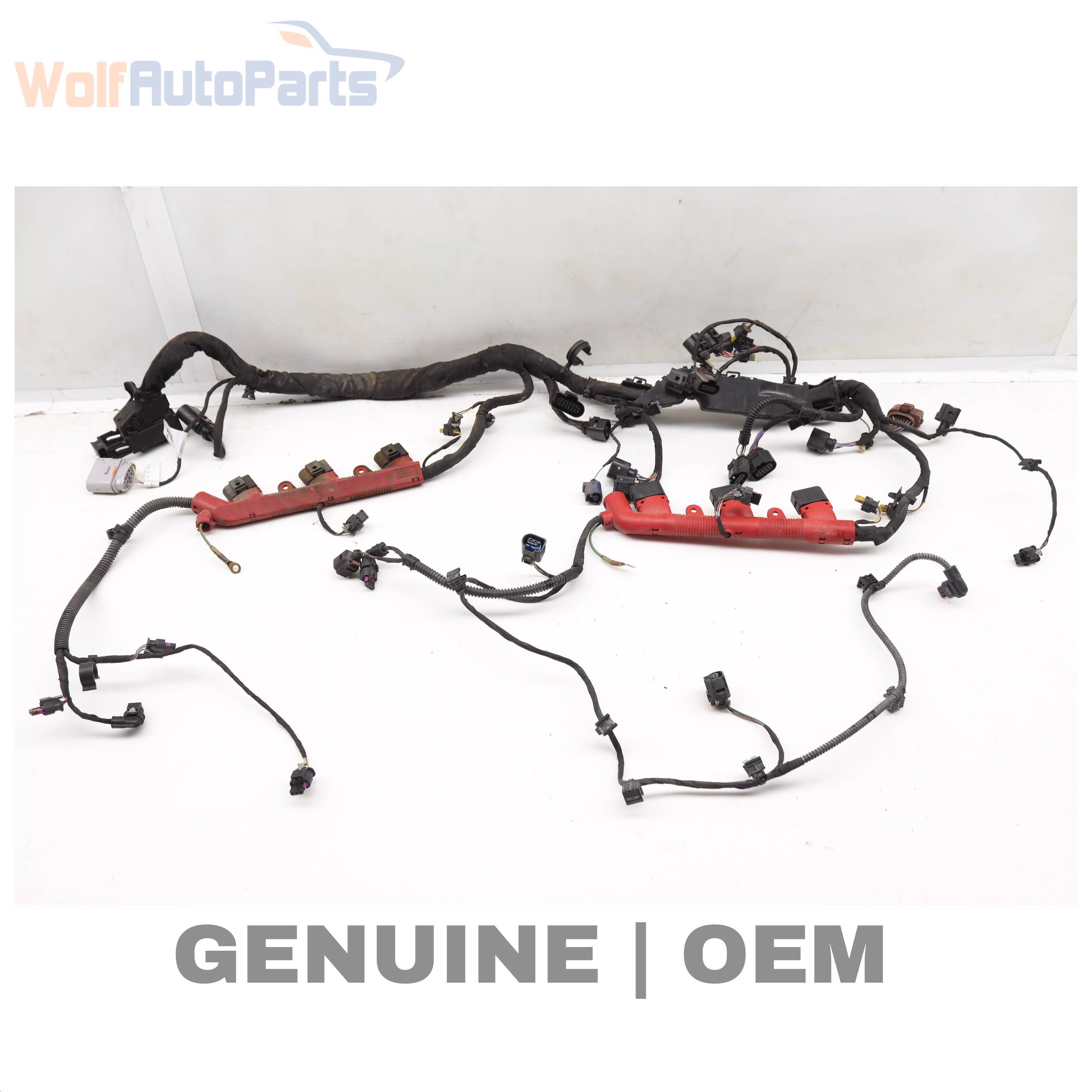 Wolf WIRING HARNESS