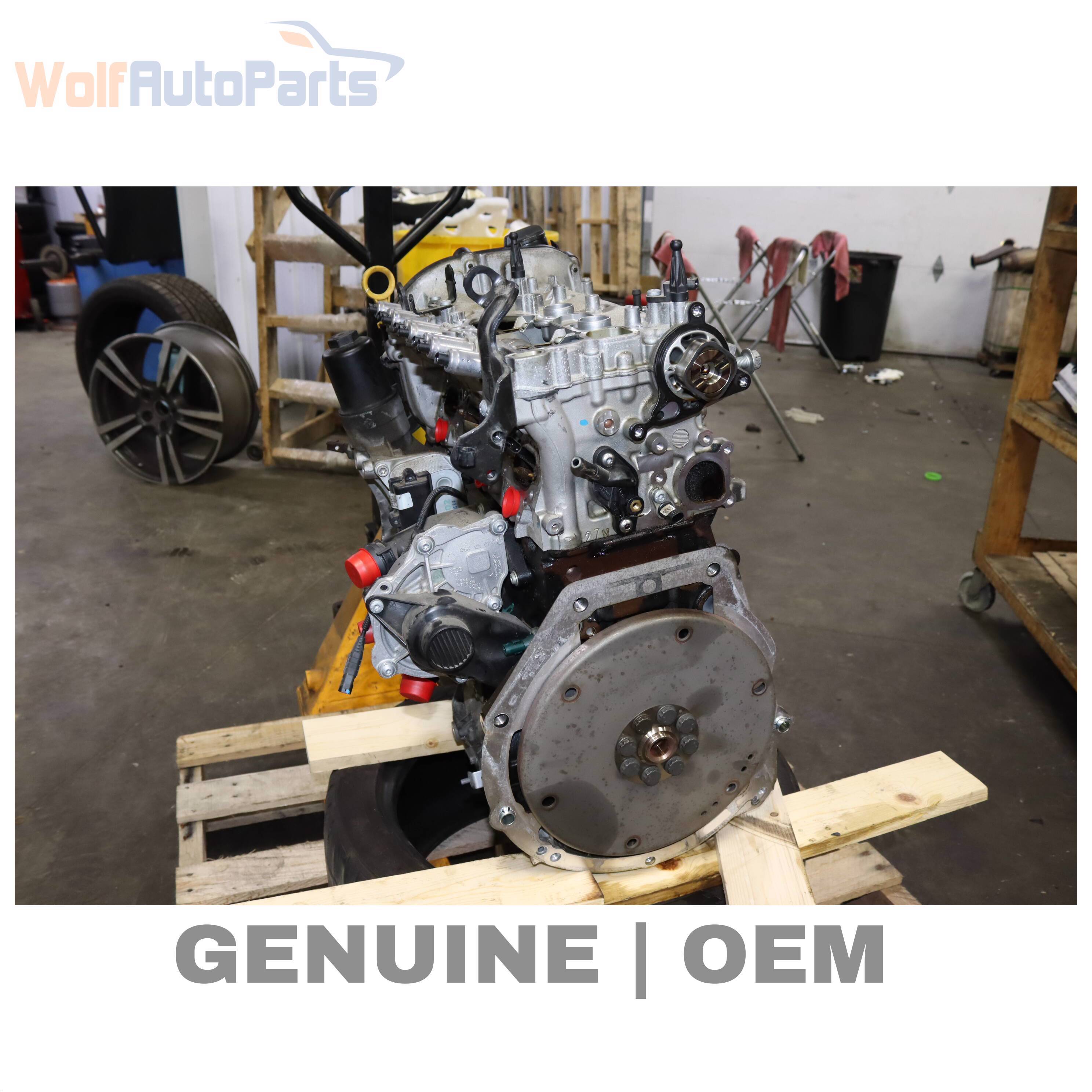 Wolf ENGINE LONG BLOCK ASSEMBLY