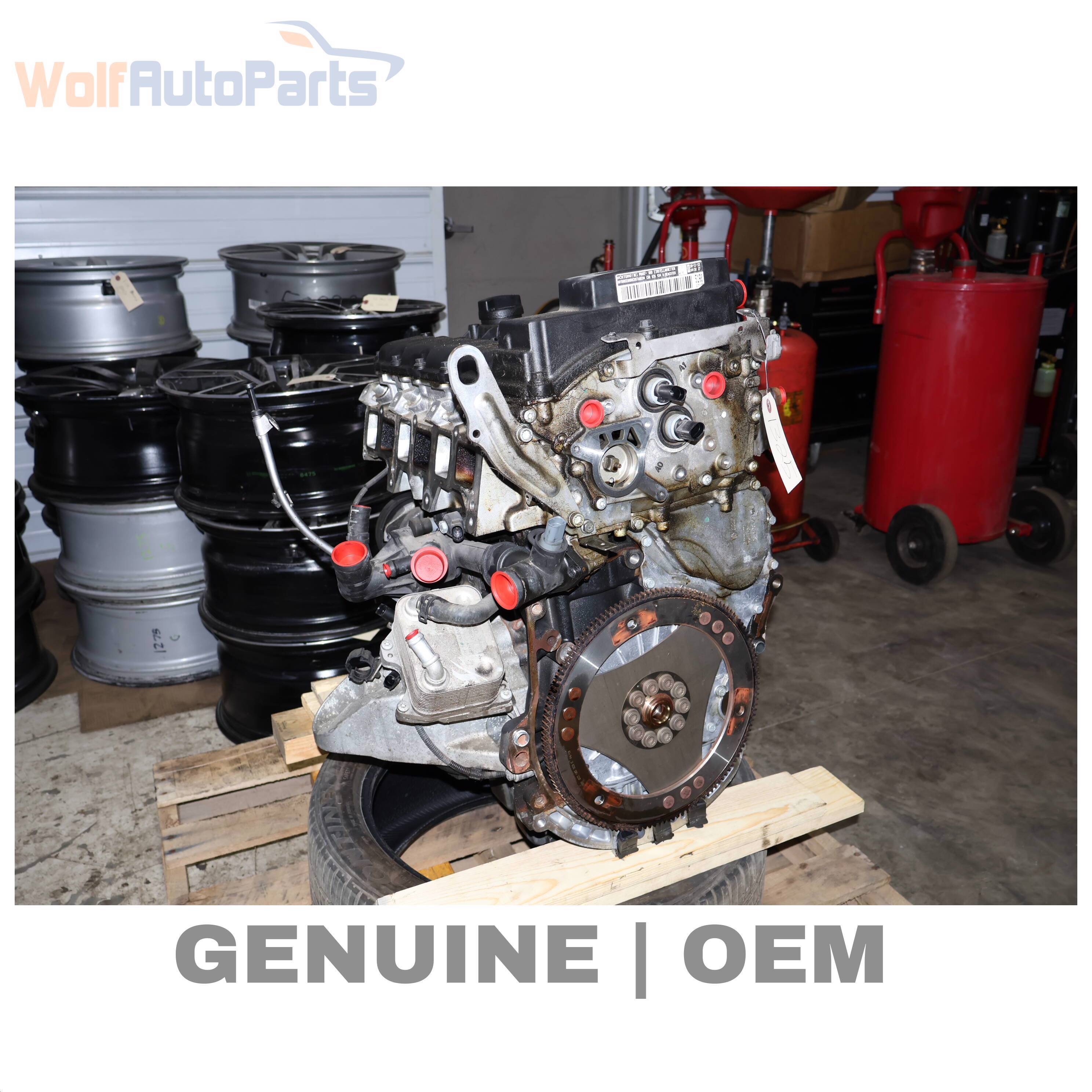 Wolf ENGINE LONG BLOCK ASSEMBLY