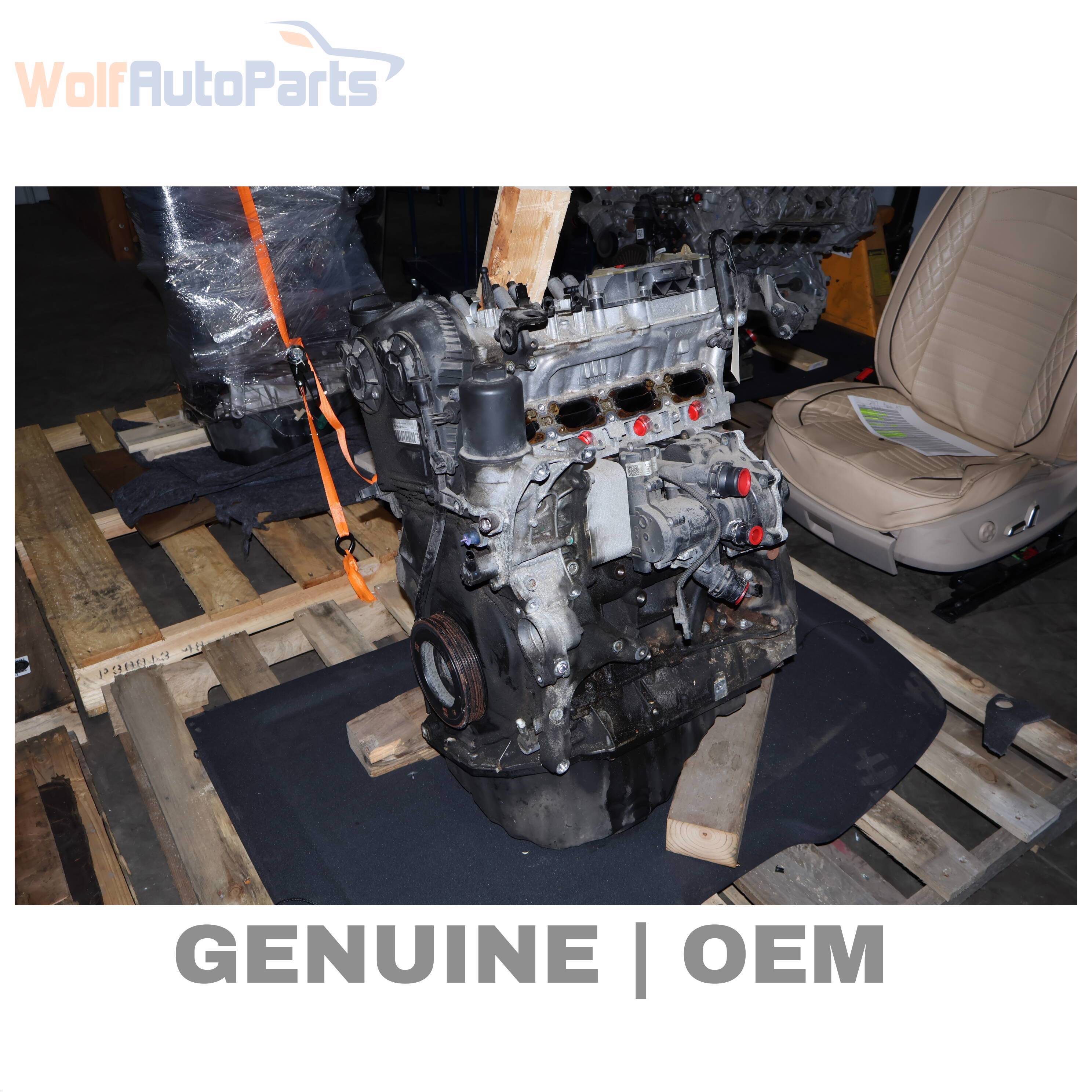 Wolf LONG BLOCK ASSEMBLY