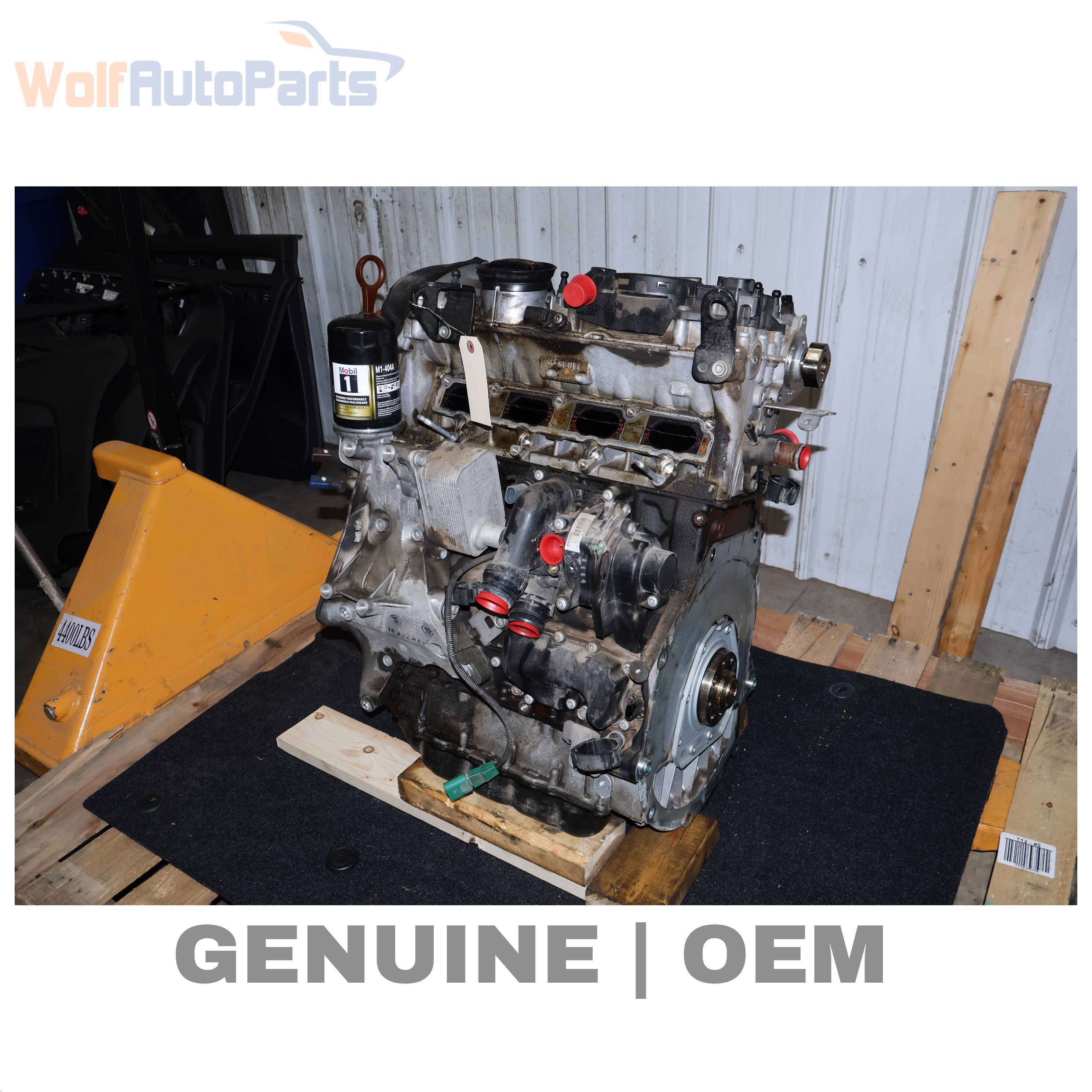 Wolf ENGINE LONG BLOCK ASSEMBLY