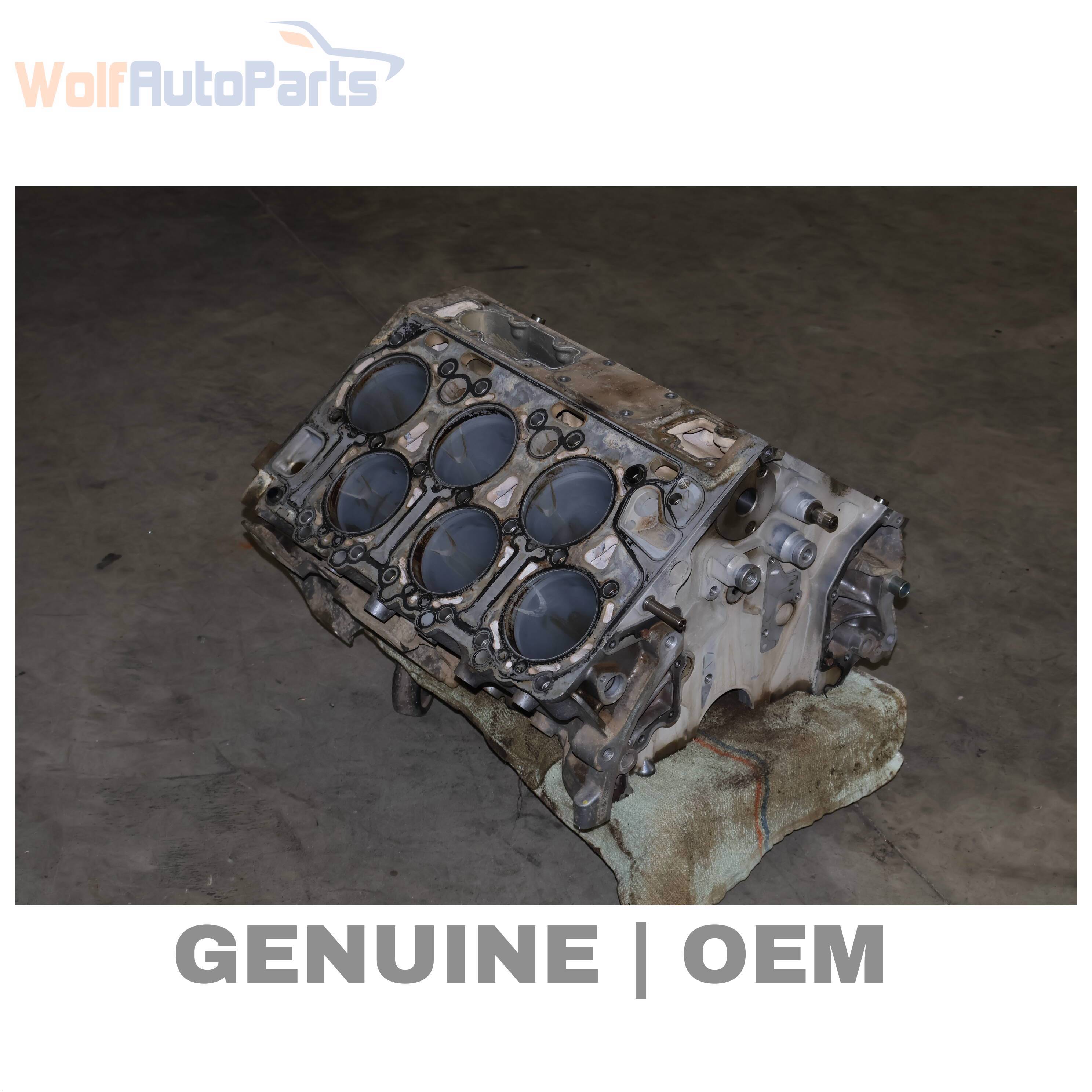 Wolf ENGINE SHORT BLOCK / CRANKCASE