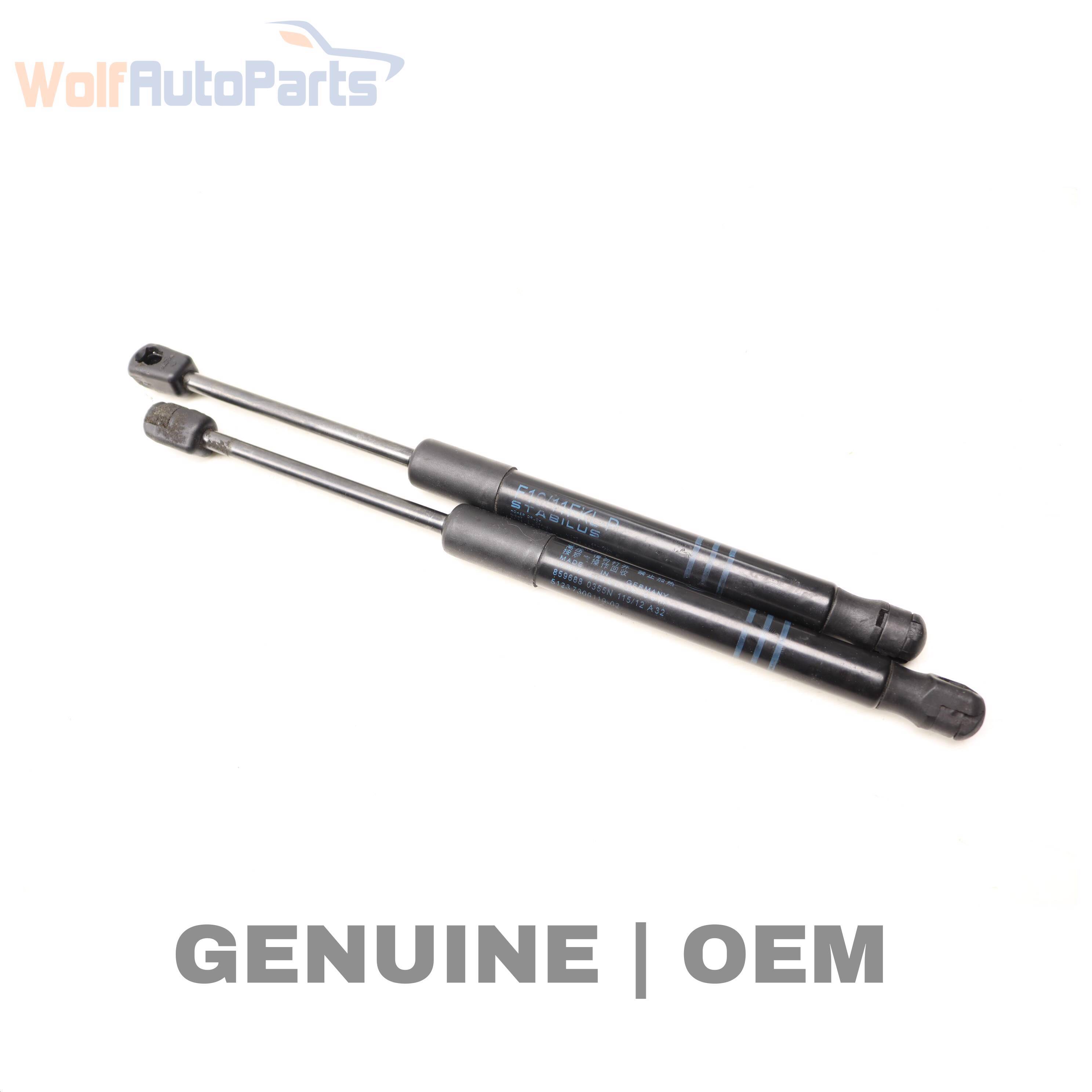 Wolf STRUT / SHOCK ABSORBER SET