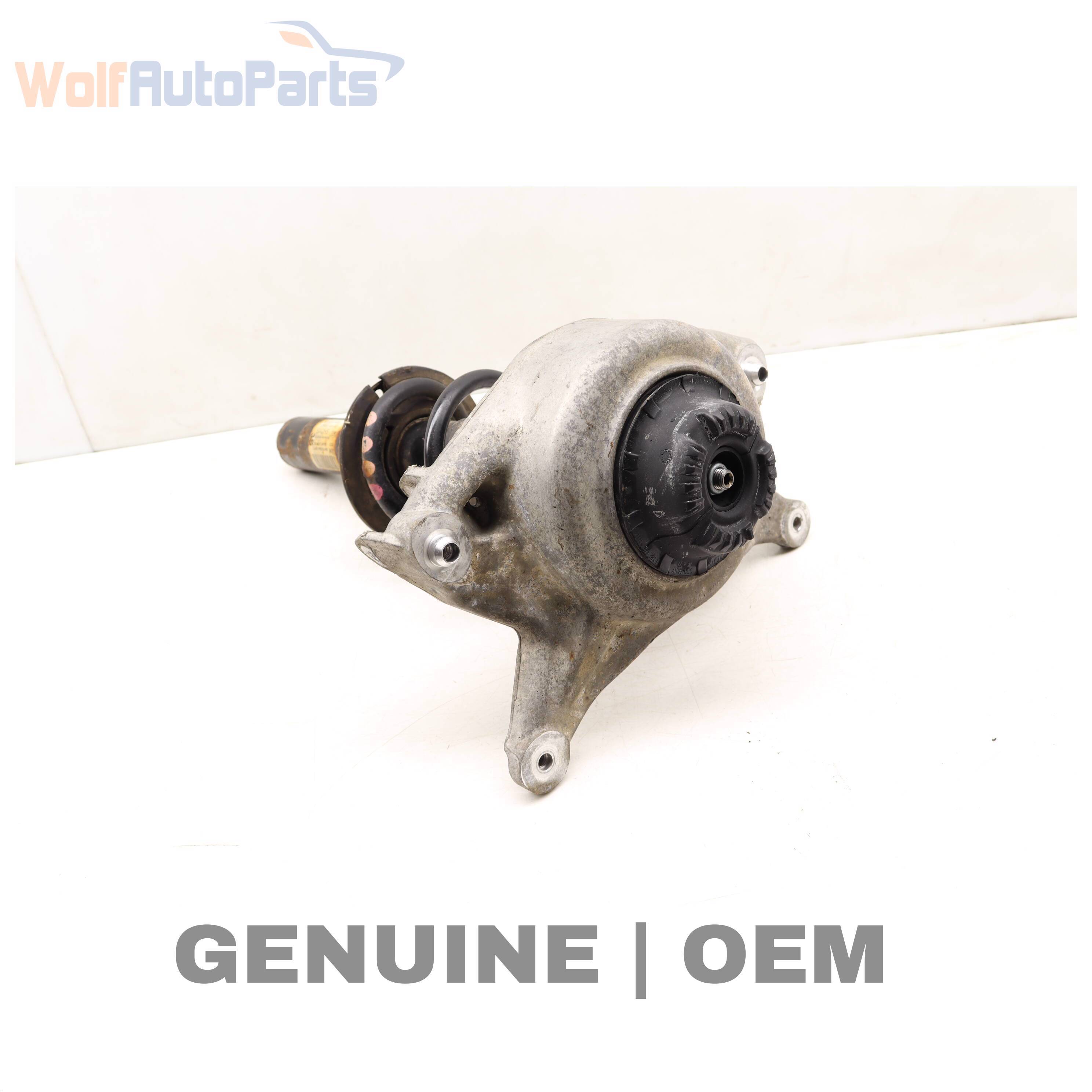 Wolf / SHOCK ABSORBER