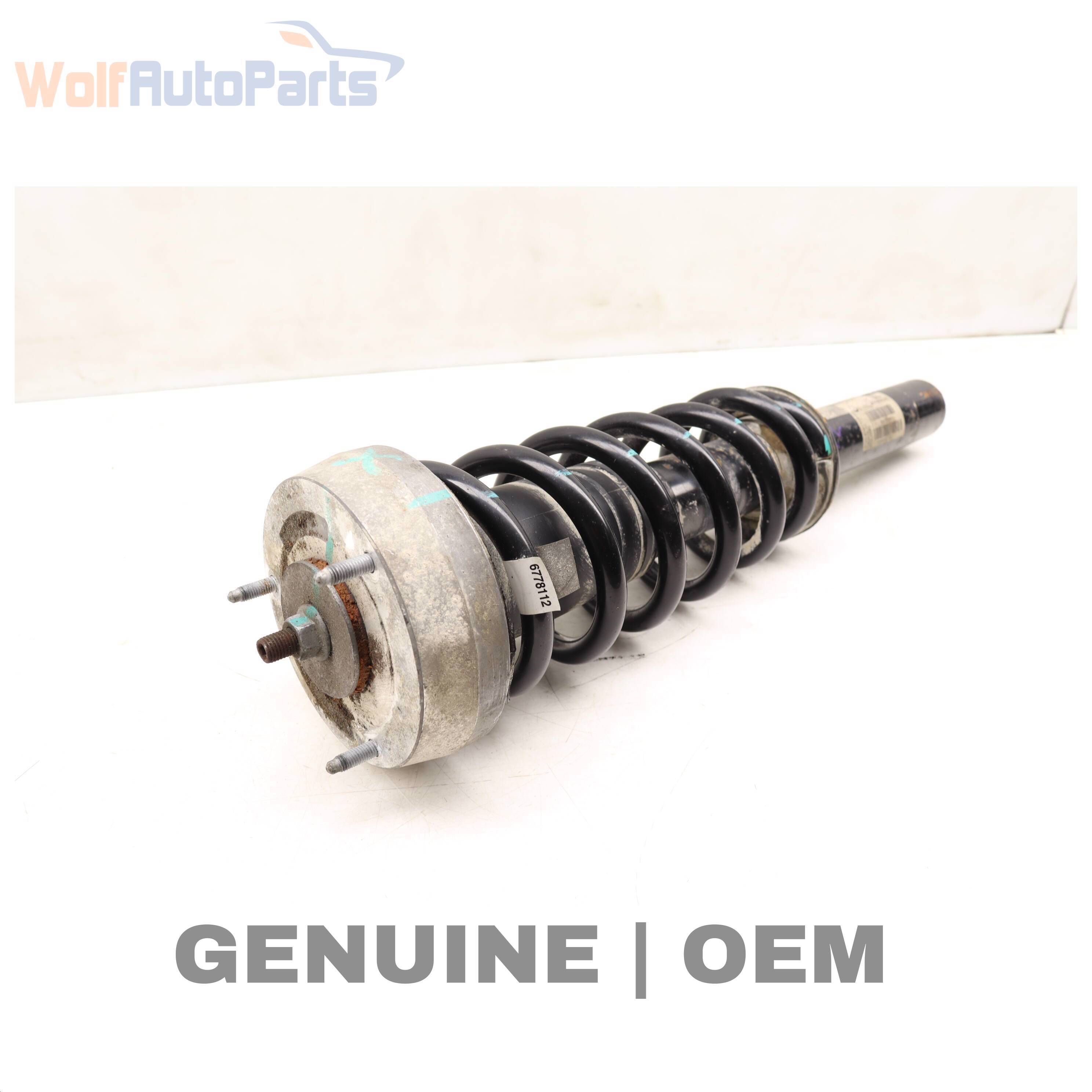 Wolf / SPRING ASSEMBLY