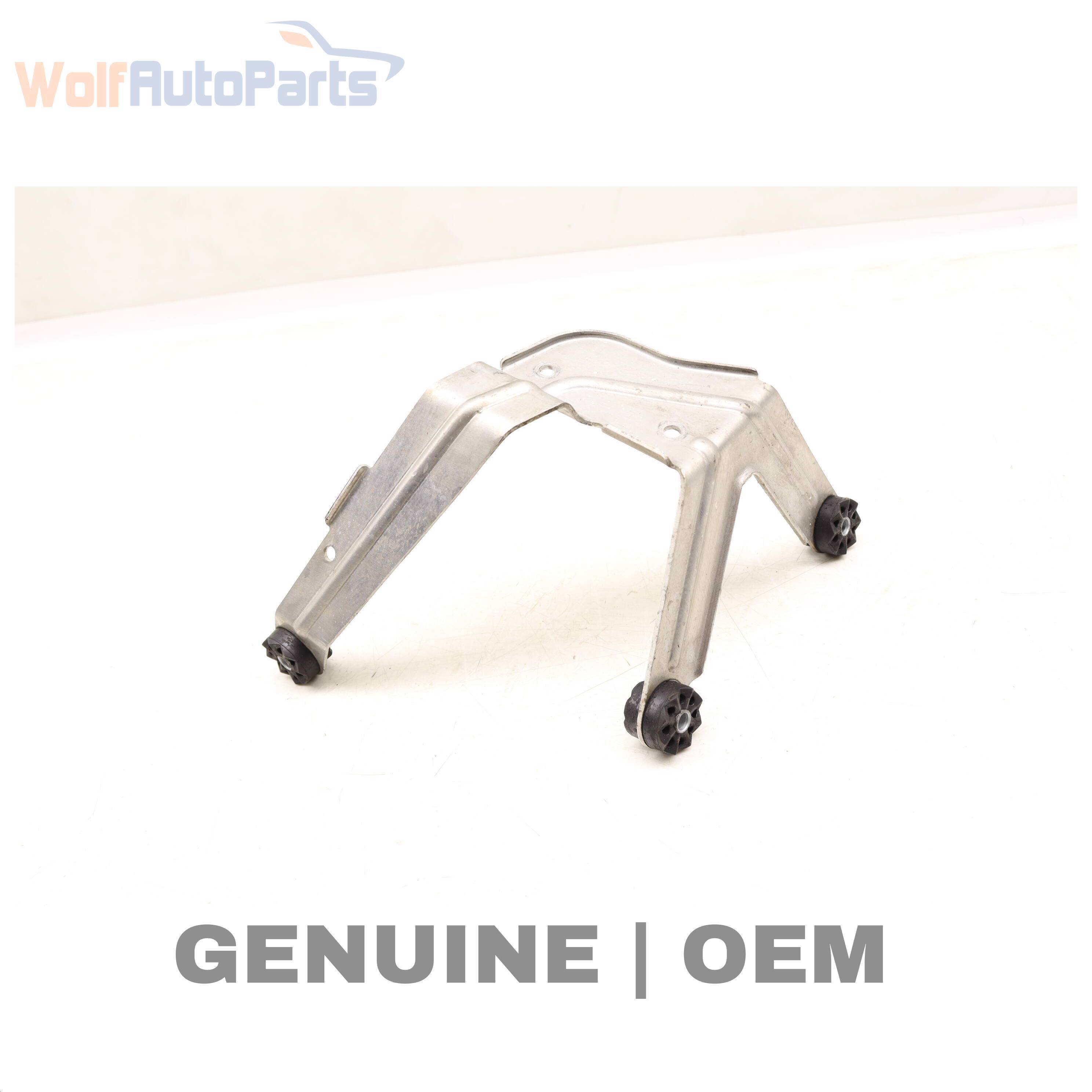 Wolf PUMP / MODULE BRACKET