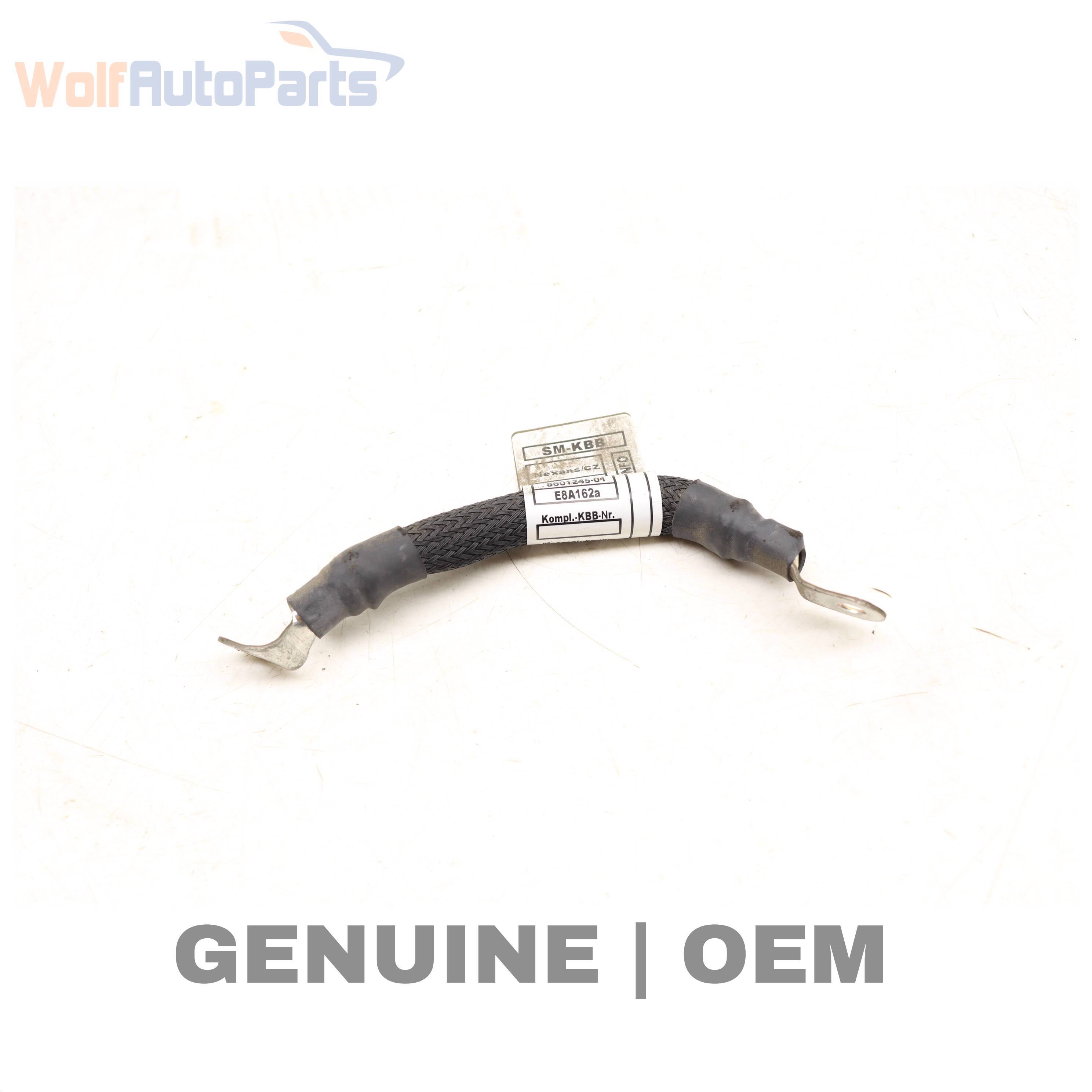 Wolf GROUND CABLE / STRAP