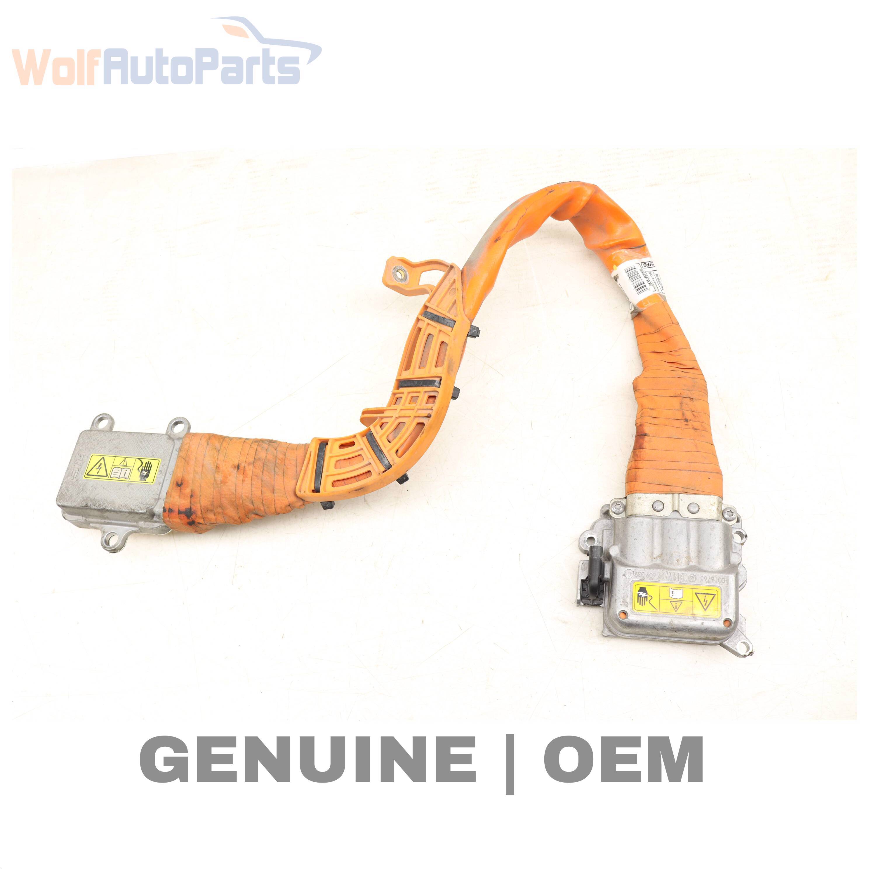 Wolf HV CABLE / CHARGE SOCKET CABLE