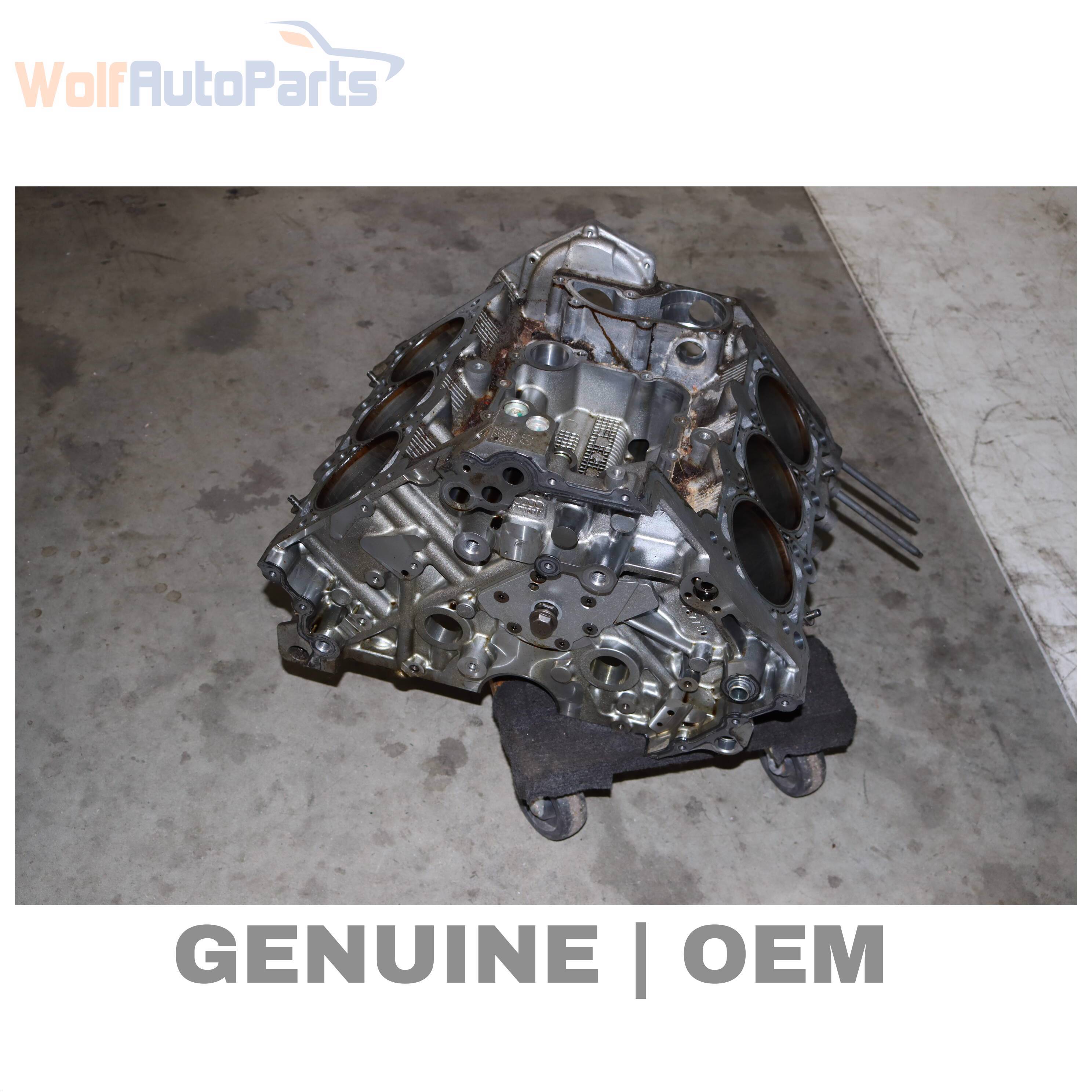 Wolf BLOCK / CRANKCASE