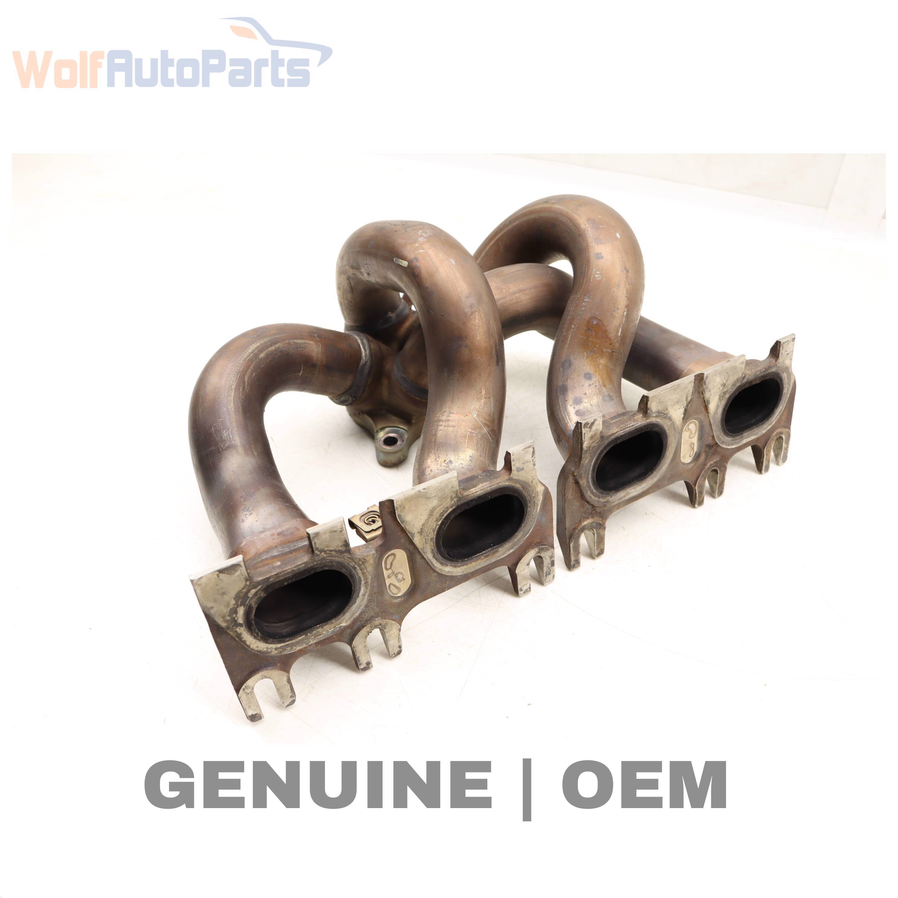 Wolf MANIFOLD