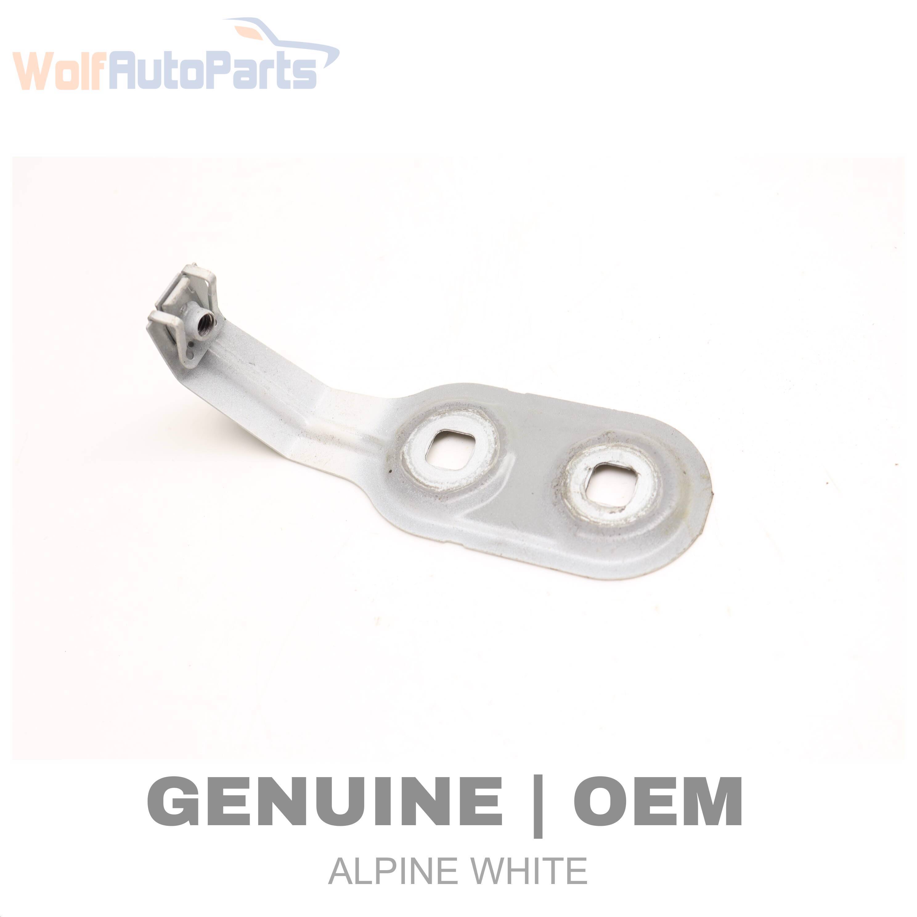 Wolf MOUNT / BRACKET