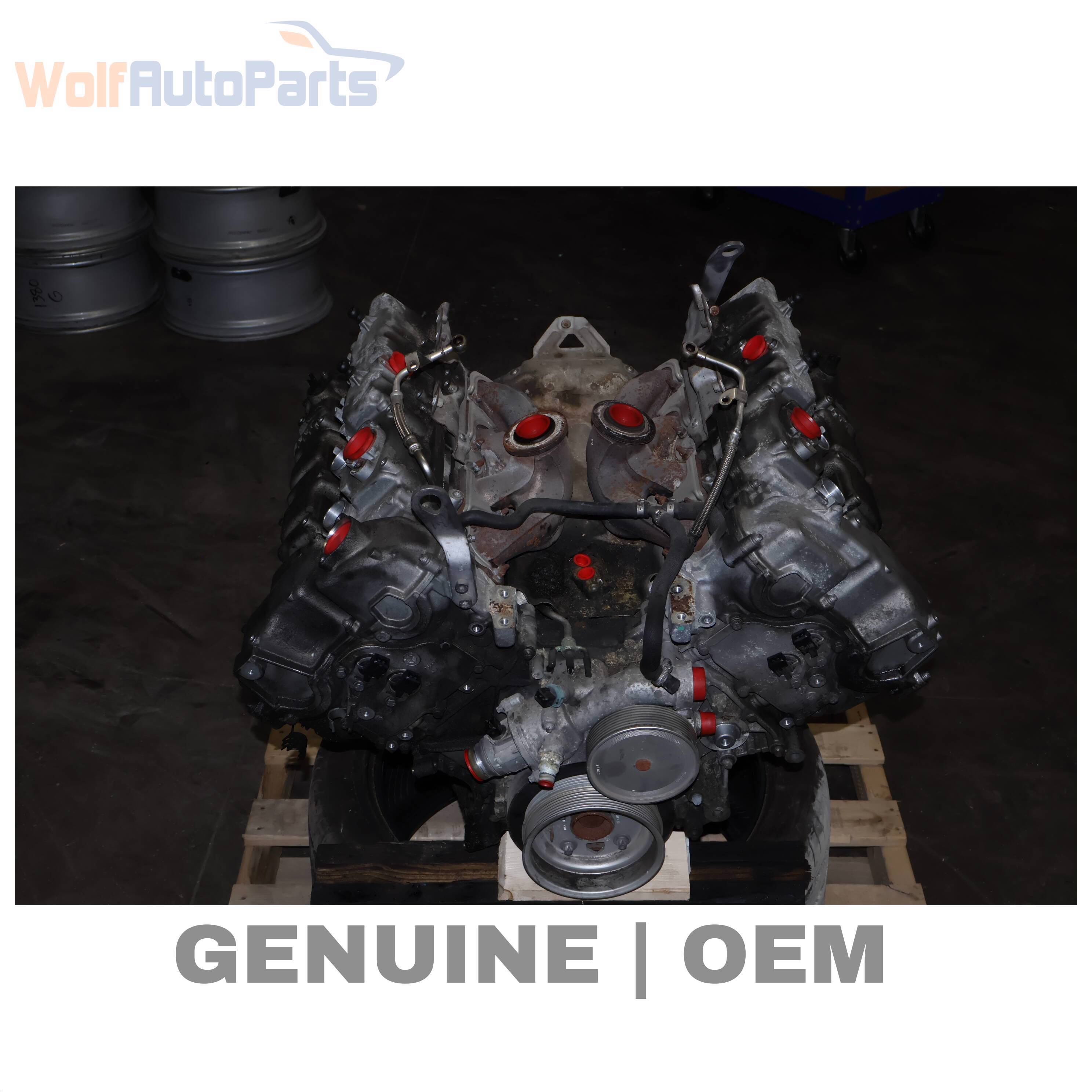 Wolf LONG BLOCK ASSEMBLY