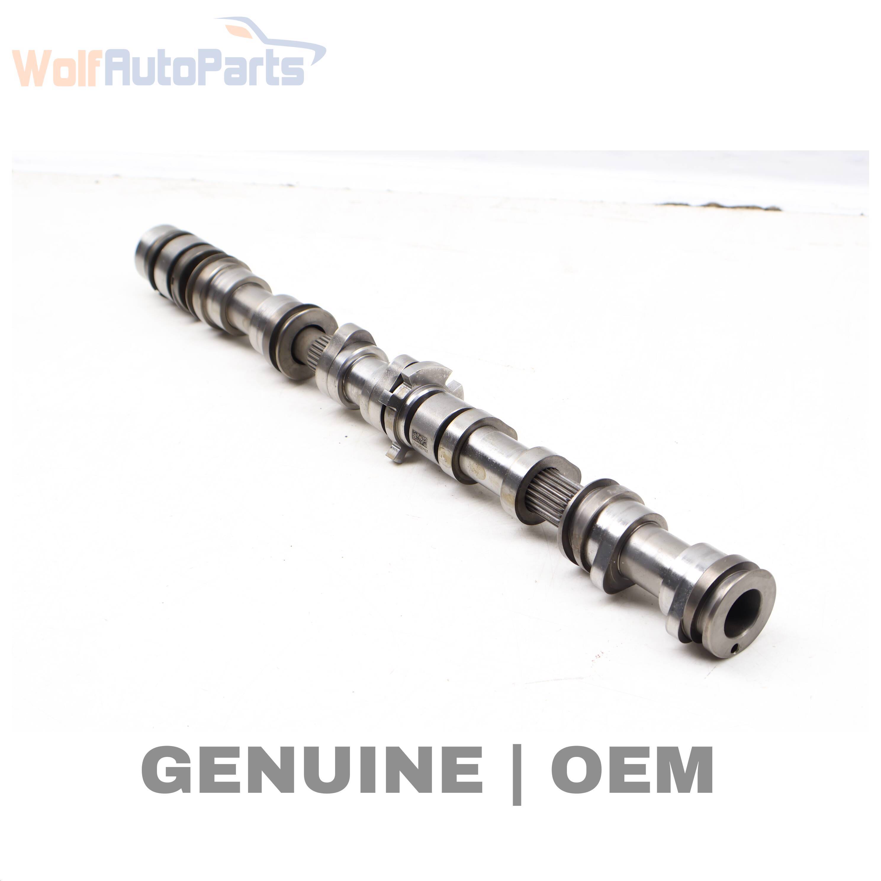 Wolf CAM / CAMSHAFT (INLET)