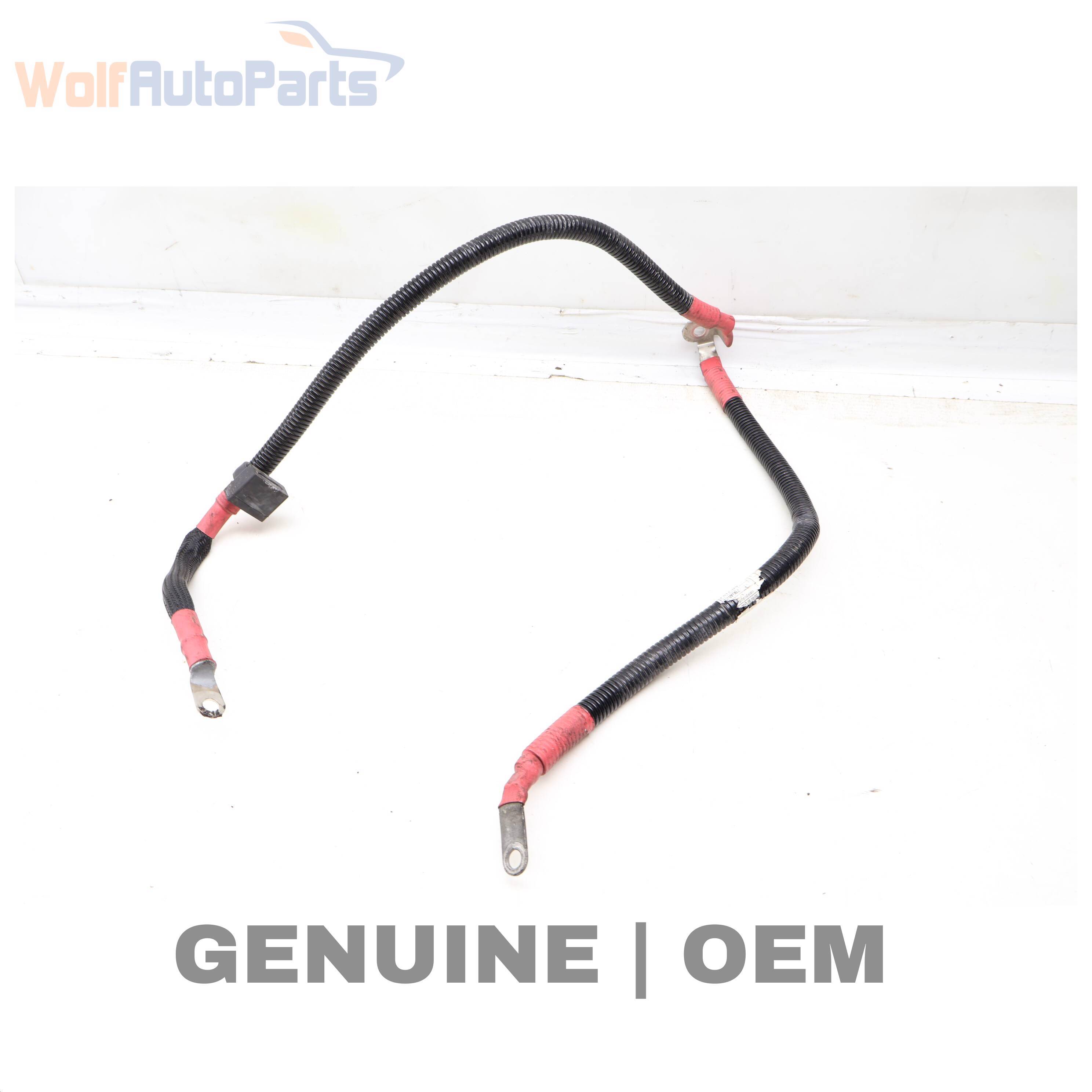 Wolf / ALTERNATOR CABLE
