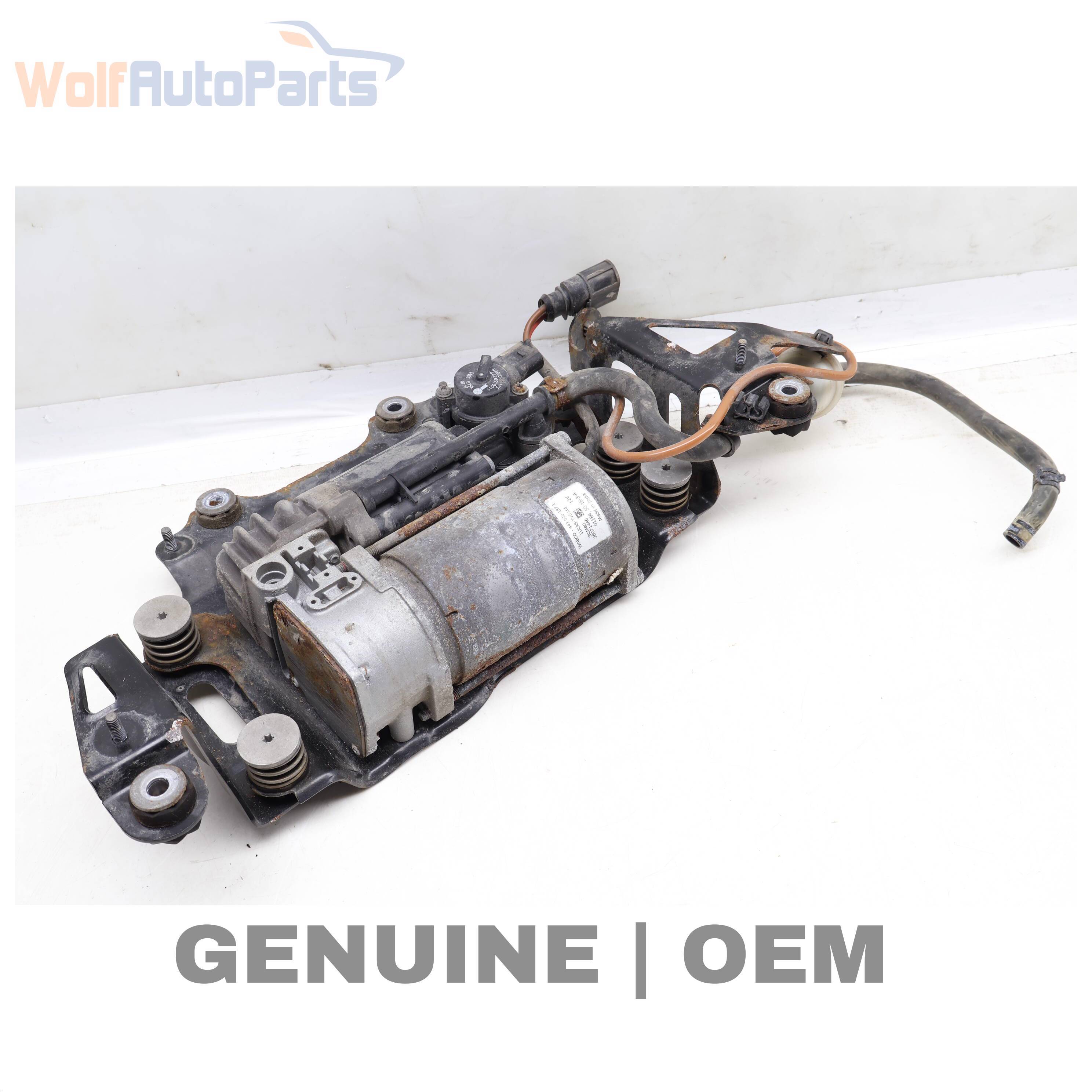 Wolf SUSPENSION COMPRESSOR / PUMP
