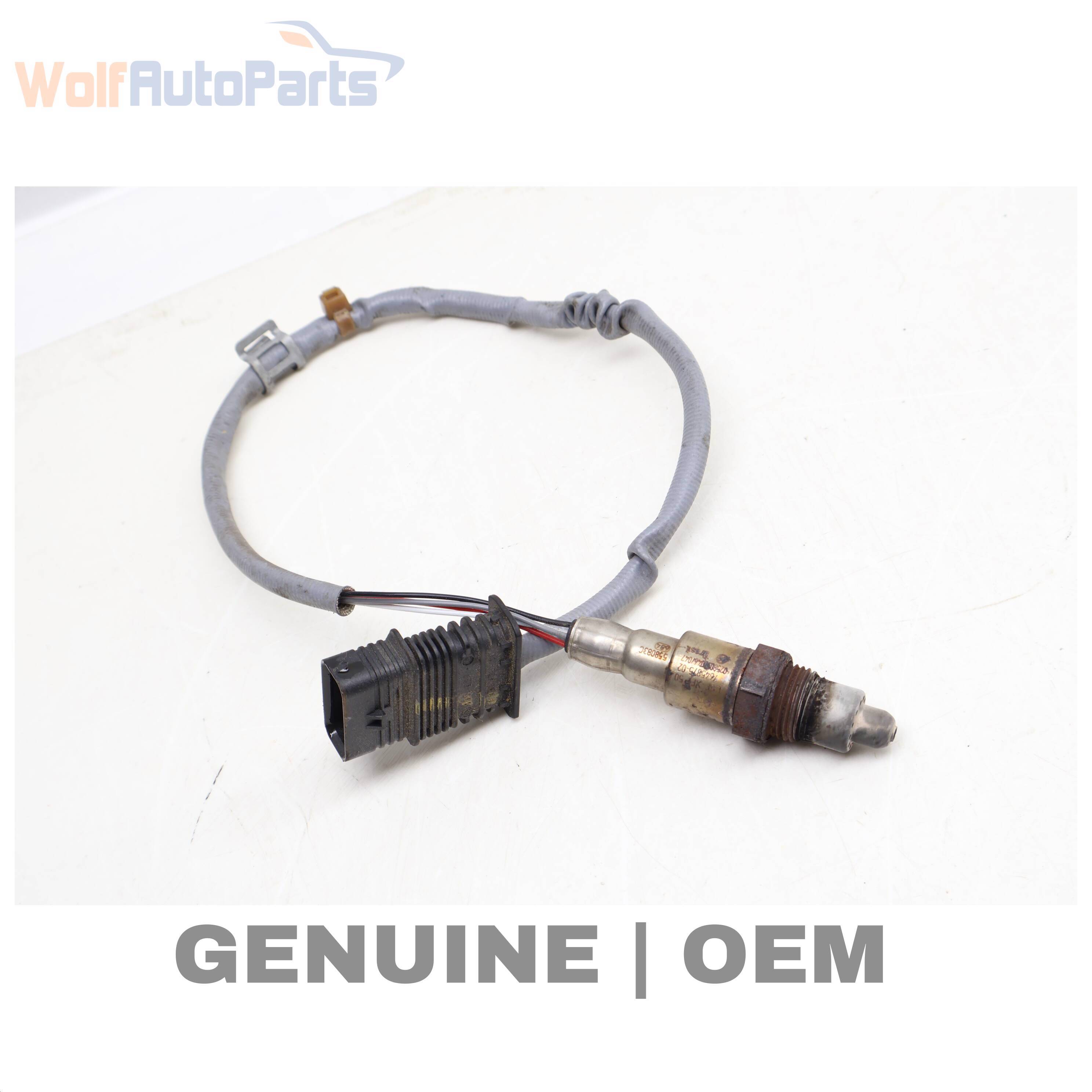 O2 / OXYGEN SENSOR