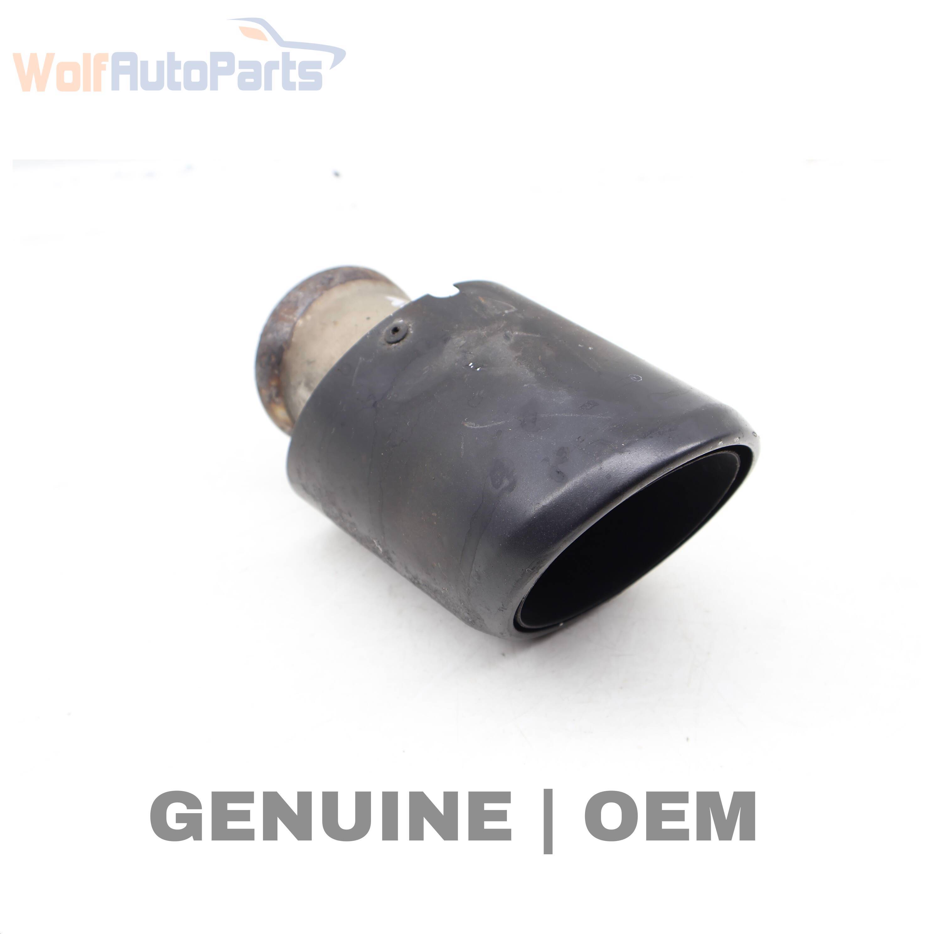 Wolf TAIL PIPE TIP