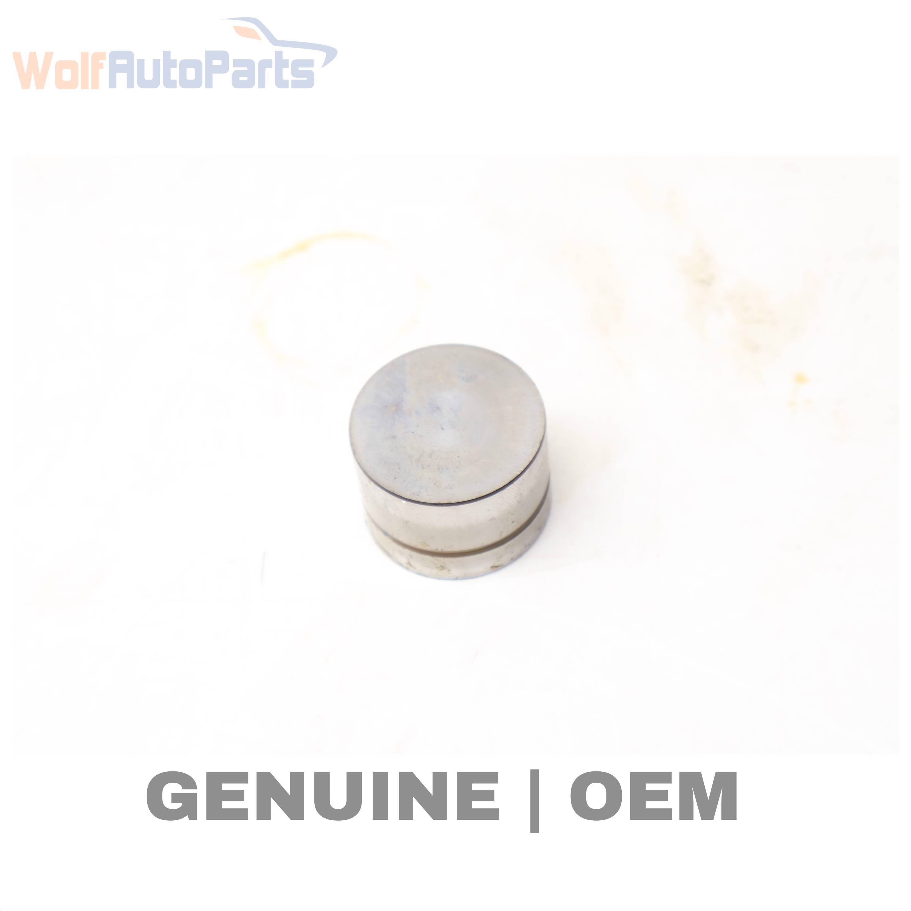 Wolf VALVE LIFT / LIFTER (OUTLET)