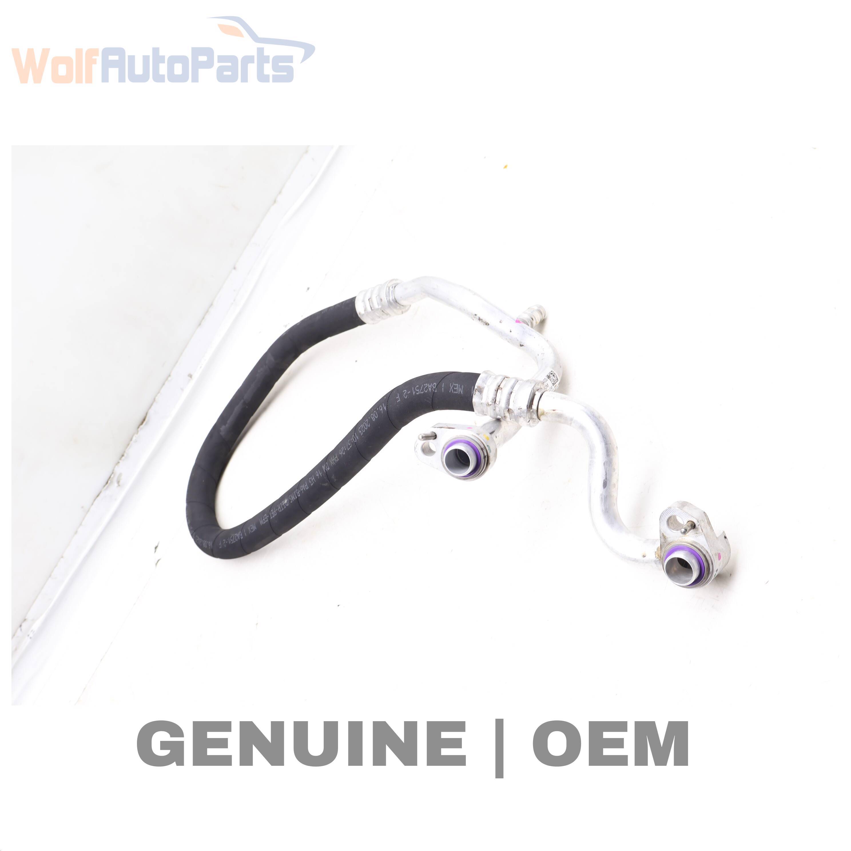 Wolf SUCTION PIPE / LINE / HOSE