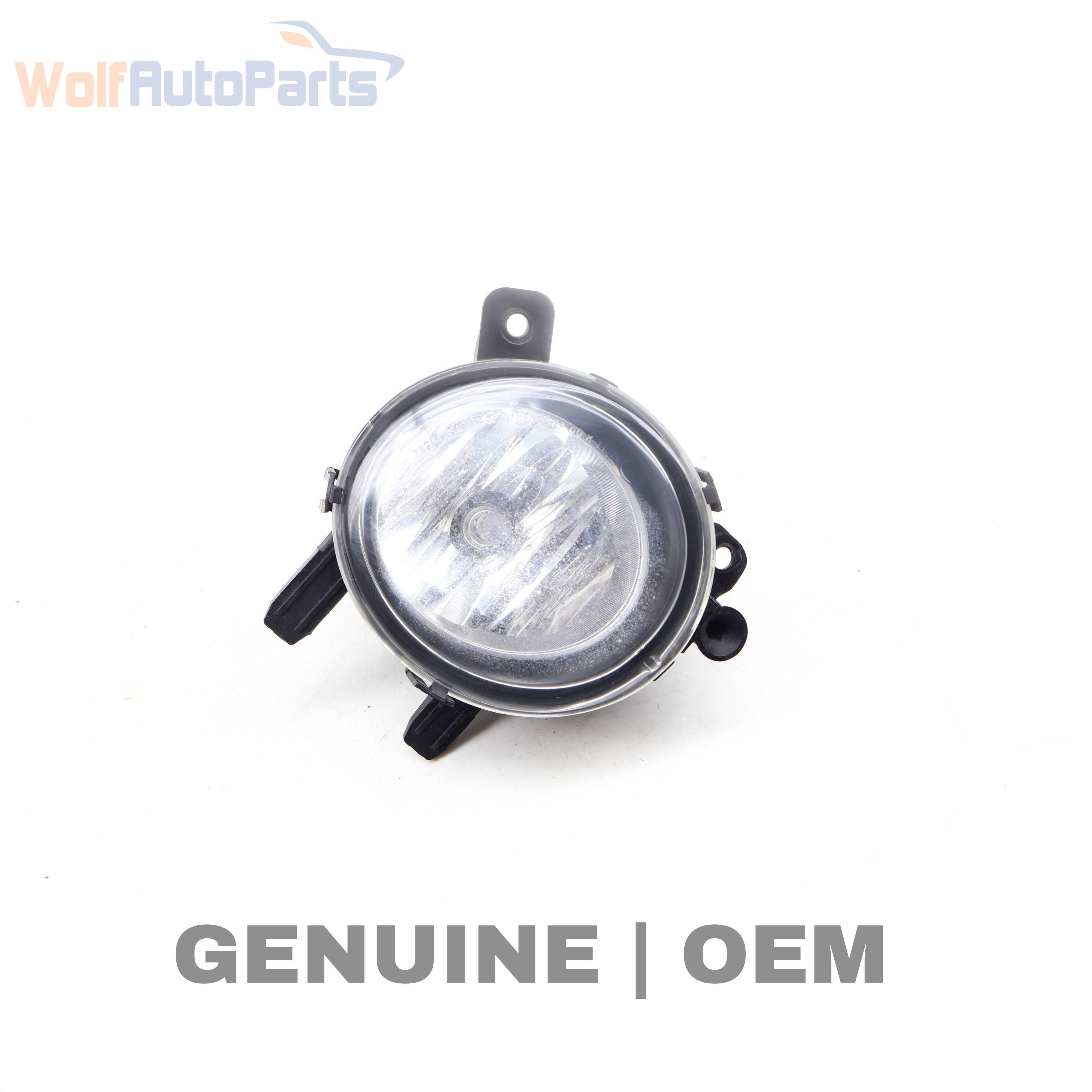 Wolf LIGHT / LAMP