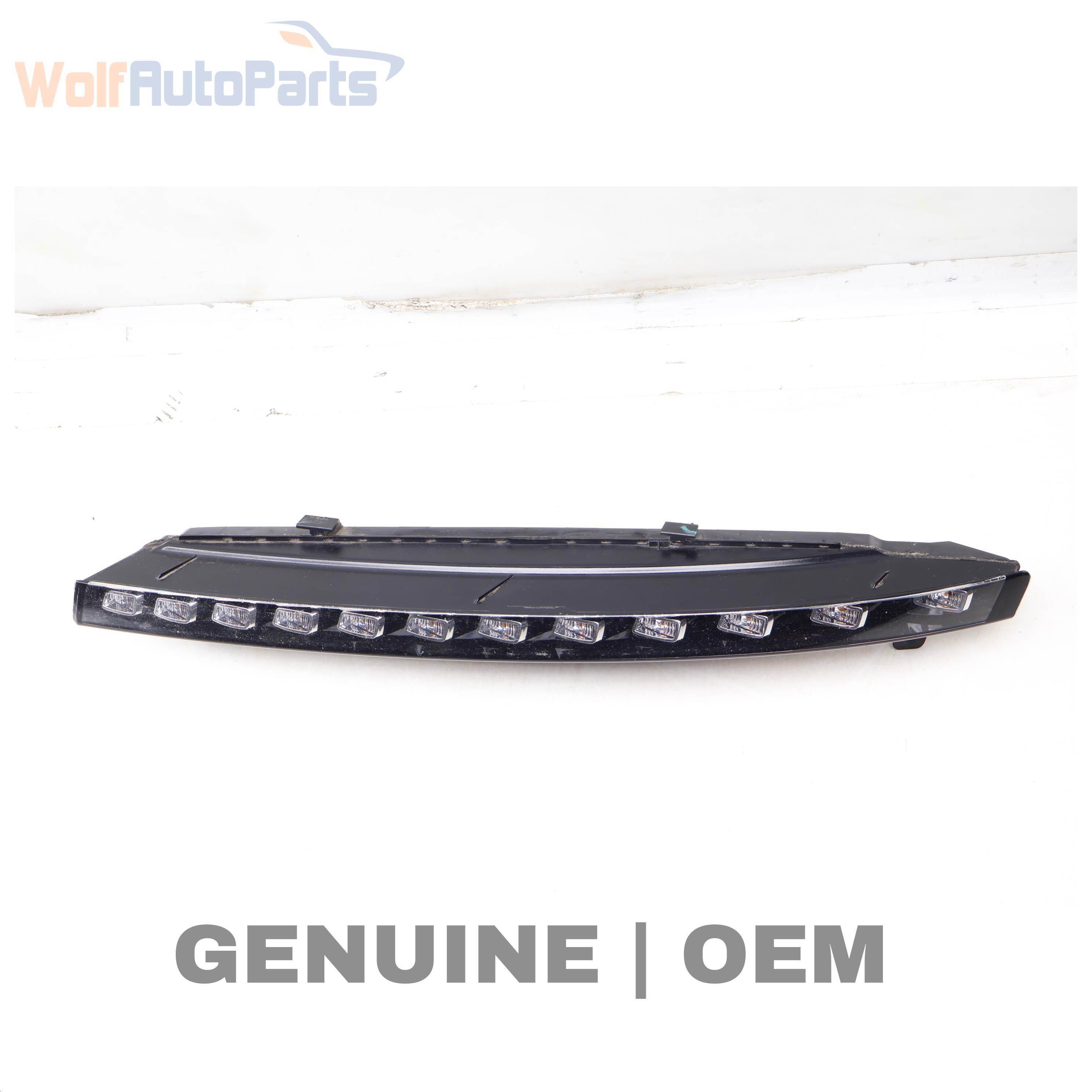 Wolf LED TURN SIGNAL / LIGHT