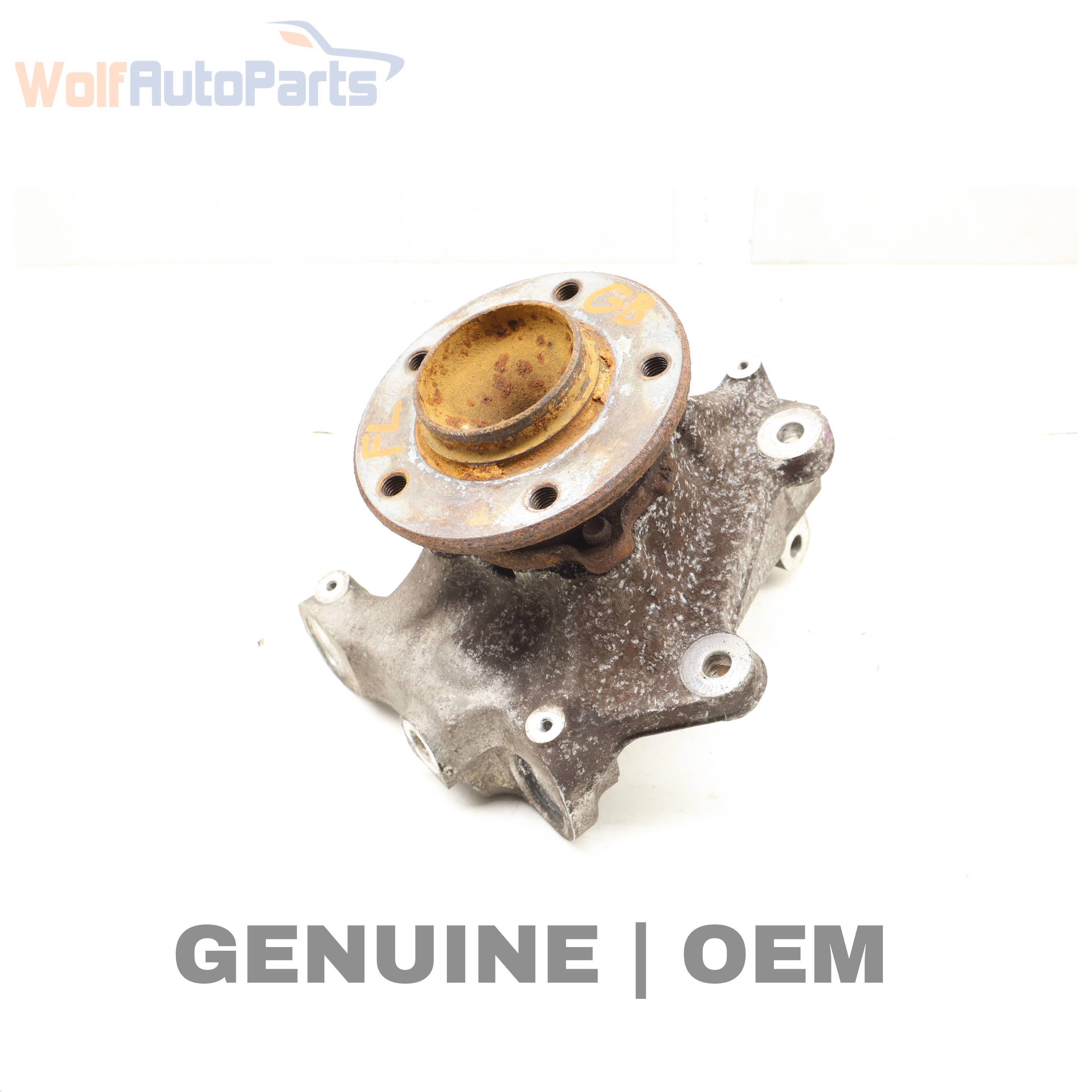 Wolf KNUCKLE w/ WHEEL BEARING