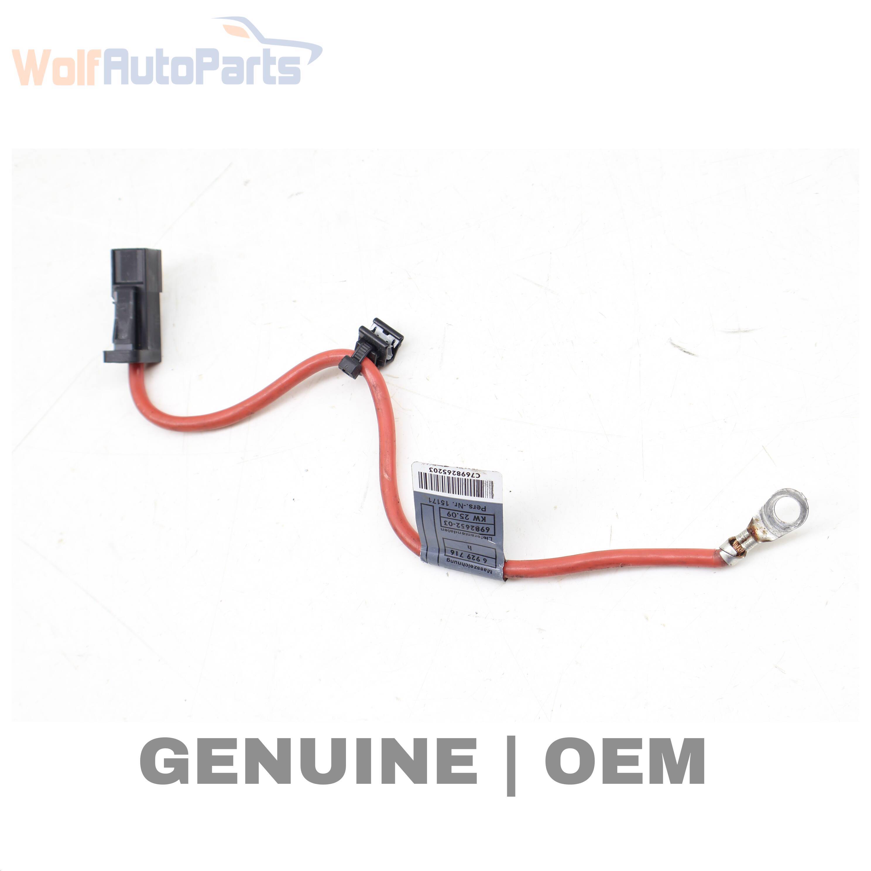 Wolf (+) BATTERY CABLE