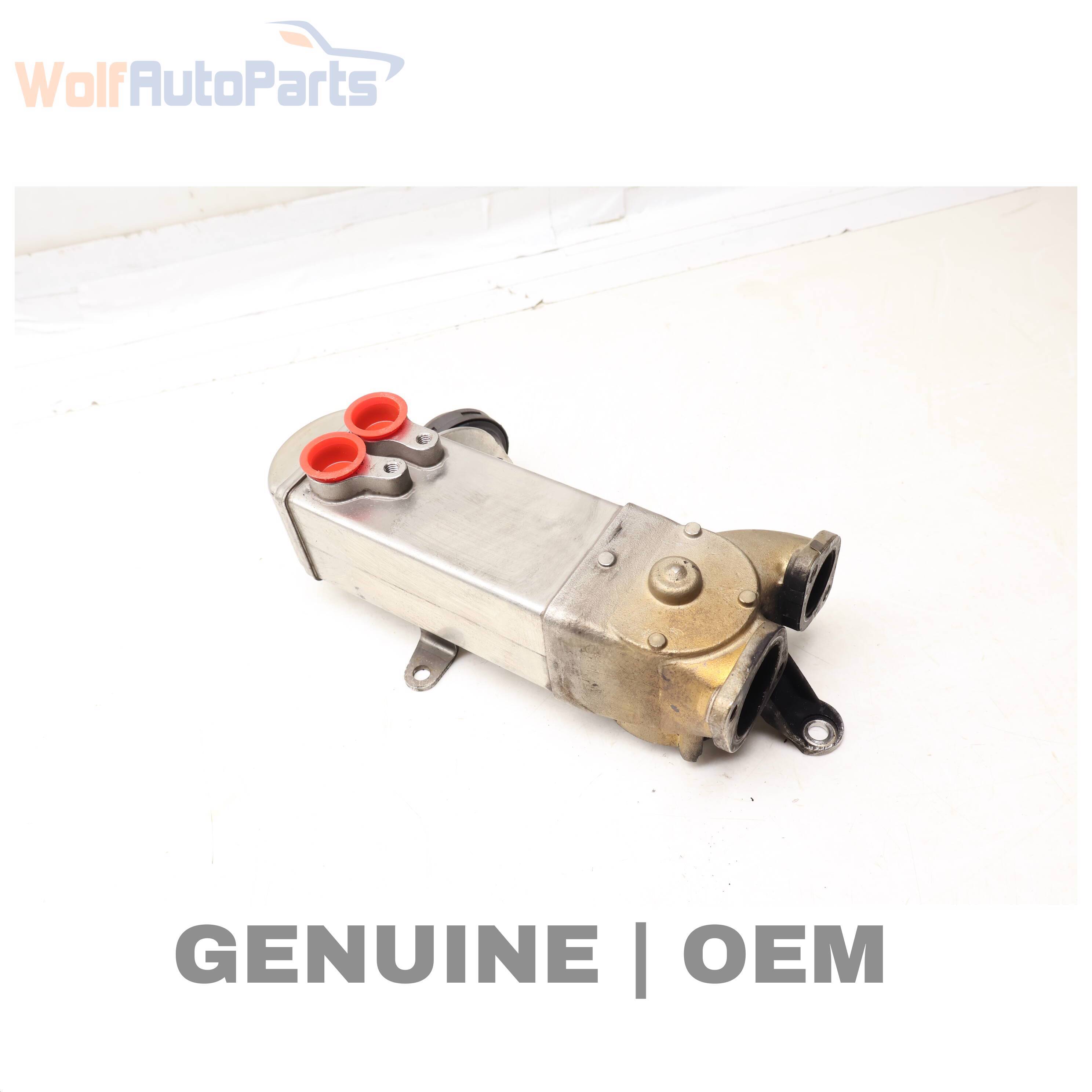 Wolf / EXHAUST COOLER