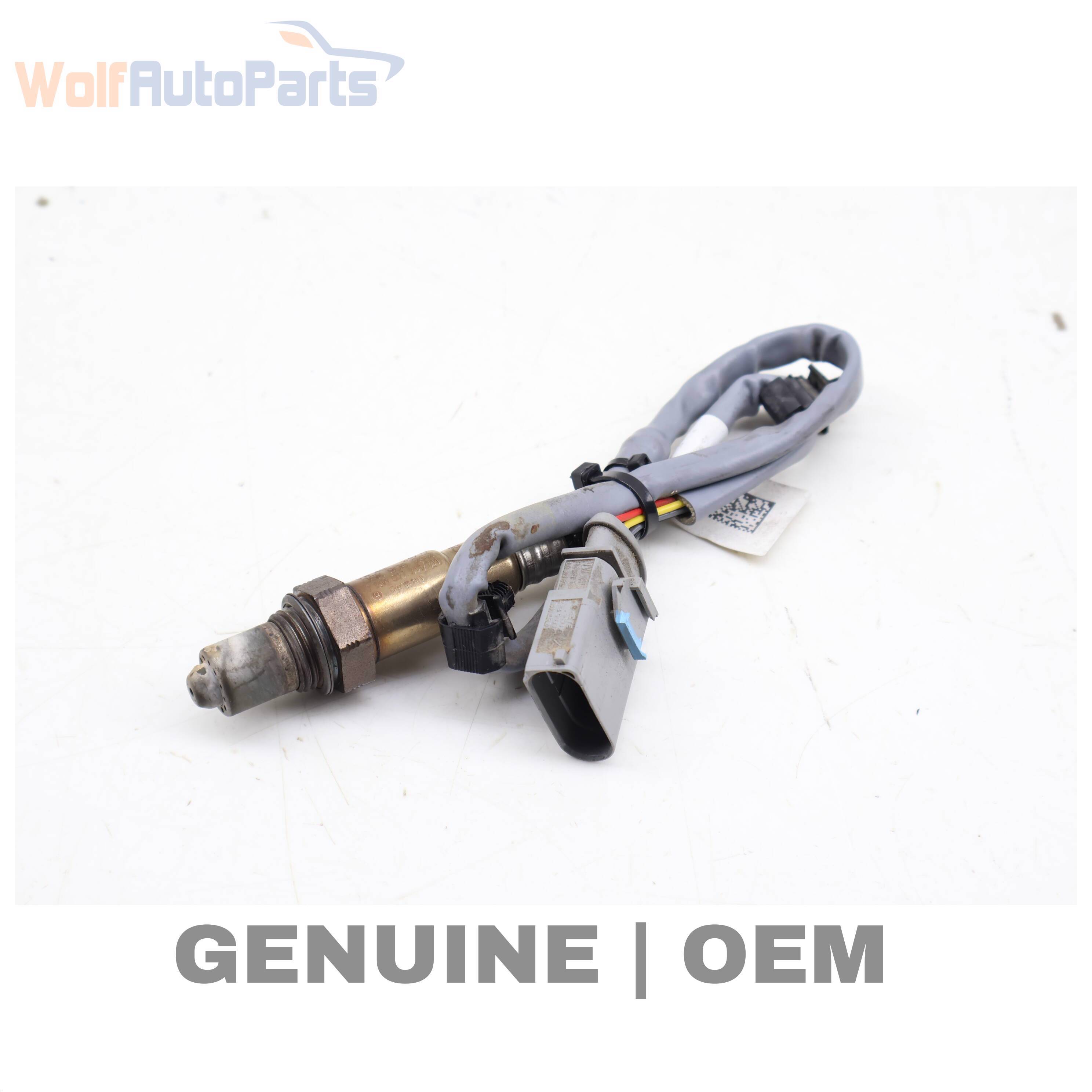 O2 / OXYGEN SENSOR