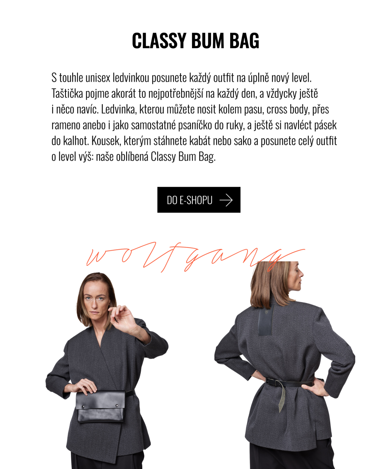 Classy Bum Bag