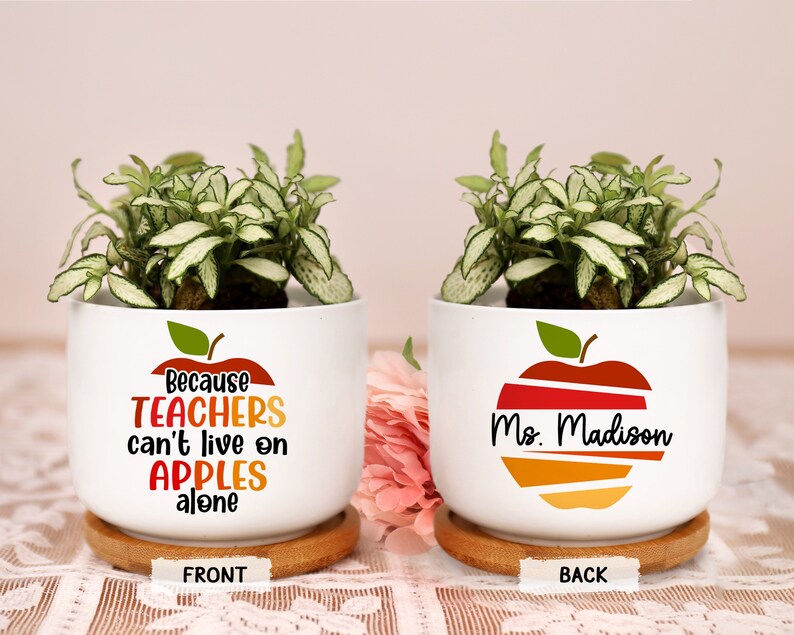 Personalized Apple Teacher Plant Pot Ceramic Mini Planter Funny Flower Pot Back To School End of Year Appreciation Thank You Teacher Gift