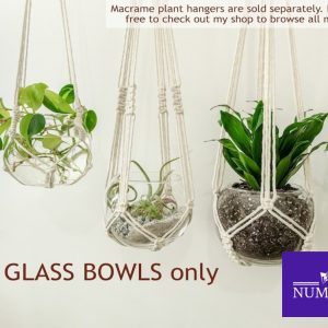 Glass Bowl for Terrariums, Cuttings, Houseplants, Indoor Plant Pot Clear, Vertical Garden, Great for Macrame Plant Hangers & Hanging Planter