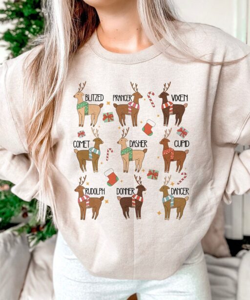 Reindeer Rudolph Merry Vibes Shirt