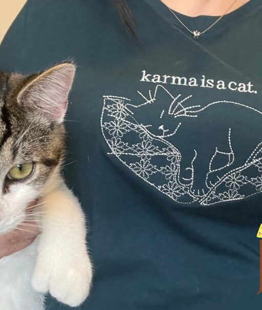 Karma Is A Cat Embroidered Sweatshirt