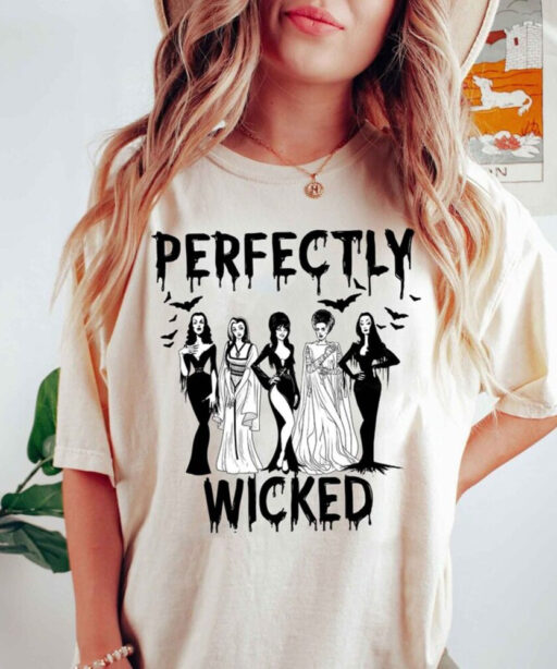 Witches Sweatshirt, Funny Sanderson Sisters Shirt, Vintage Spooky Vibes Shirt, Cute Halloween T- Shirt, Witchy T-shirt, Gift For Women, Fall